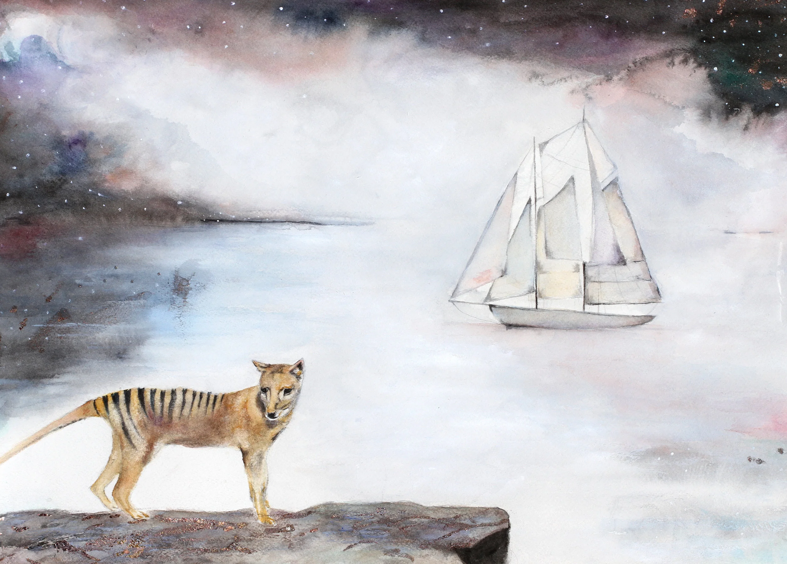 tiger ship.jpg