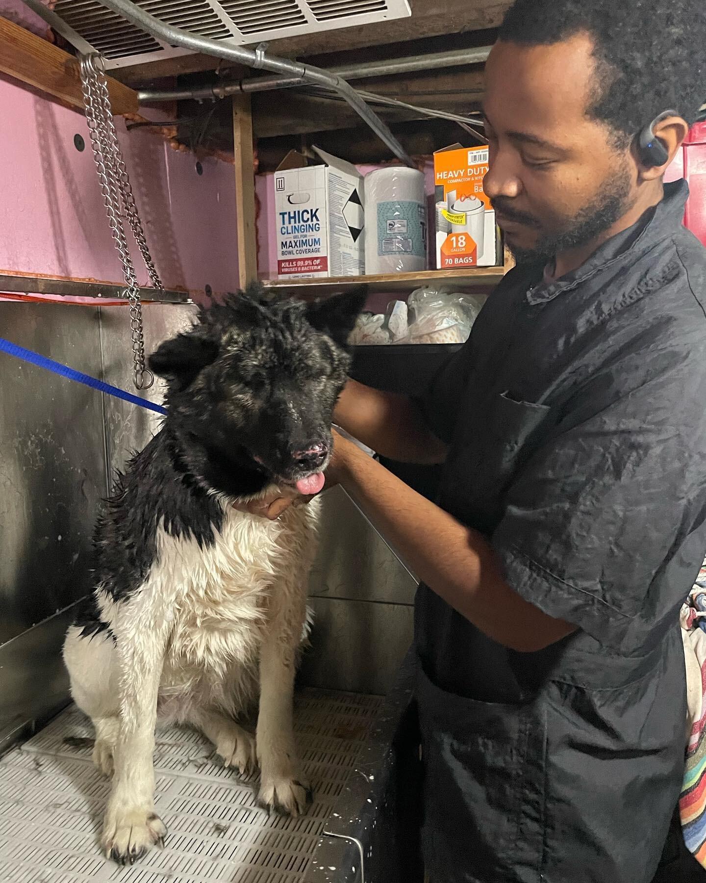 New Groomer Deon and Hayley SPA DAY YAY! 
.
.
.
.
#bowwowmeowpurrfessionalpetcare #bowwowbarkery #dogs #chicago #chicagodogs #Dogsofinstagram #cats #glutenfree #organic #petcare #pets #catsofinstagram #ubereats #doordash #dogtreats #chicagocats #cats