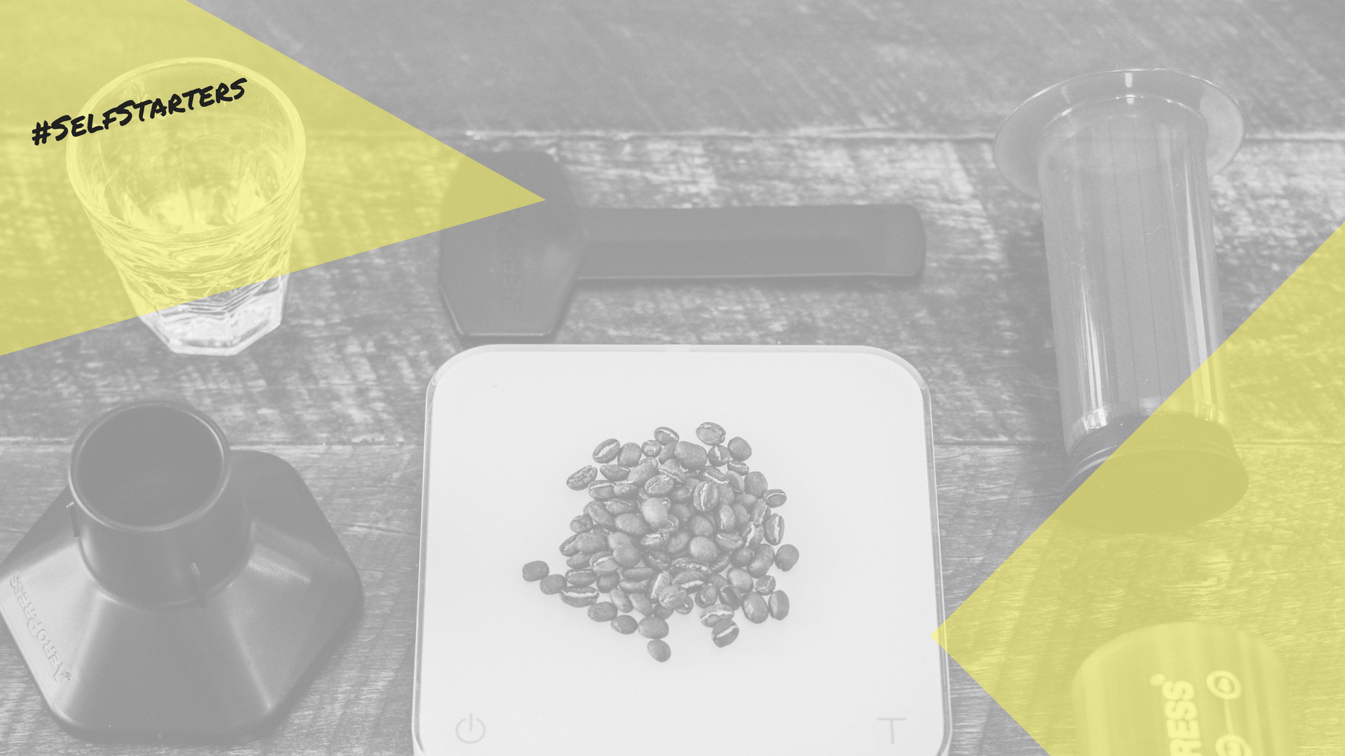 Angel investment process.png