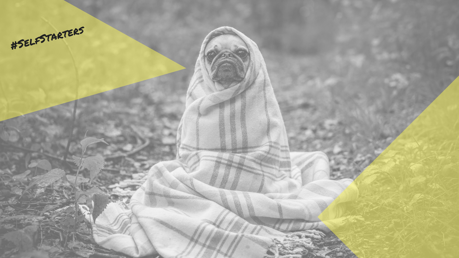 The Secrets To A Great Business Pitch (Video)