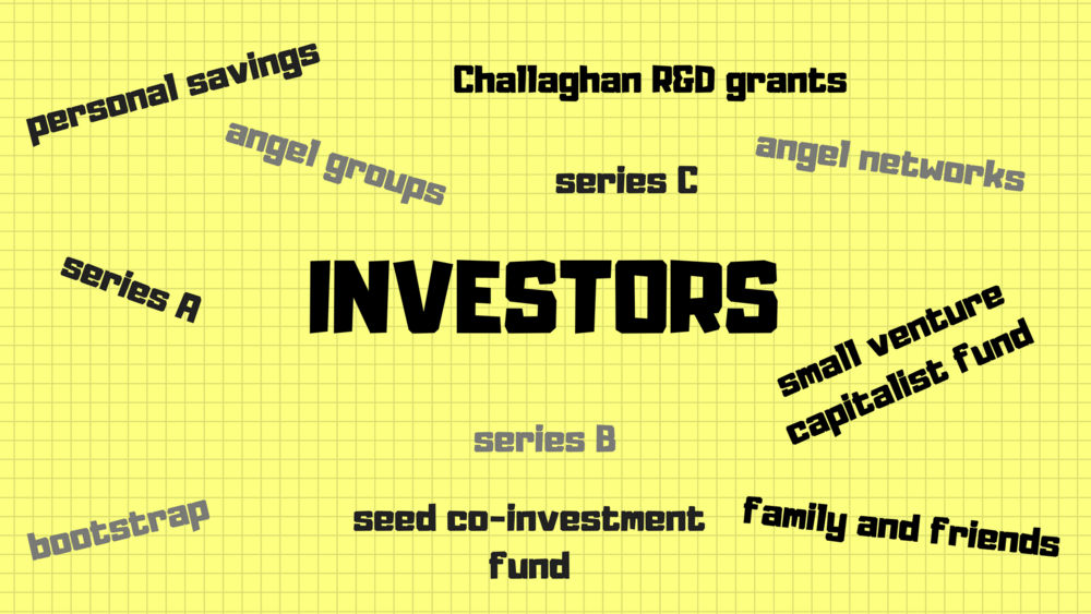 Type Of Investment Available For New Zealand Startups