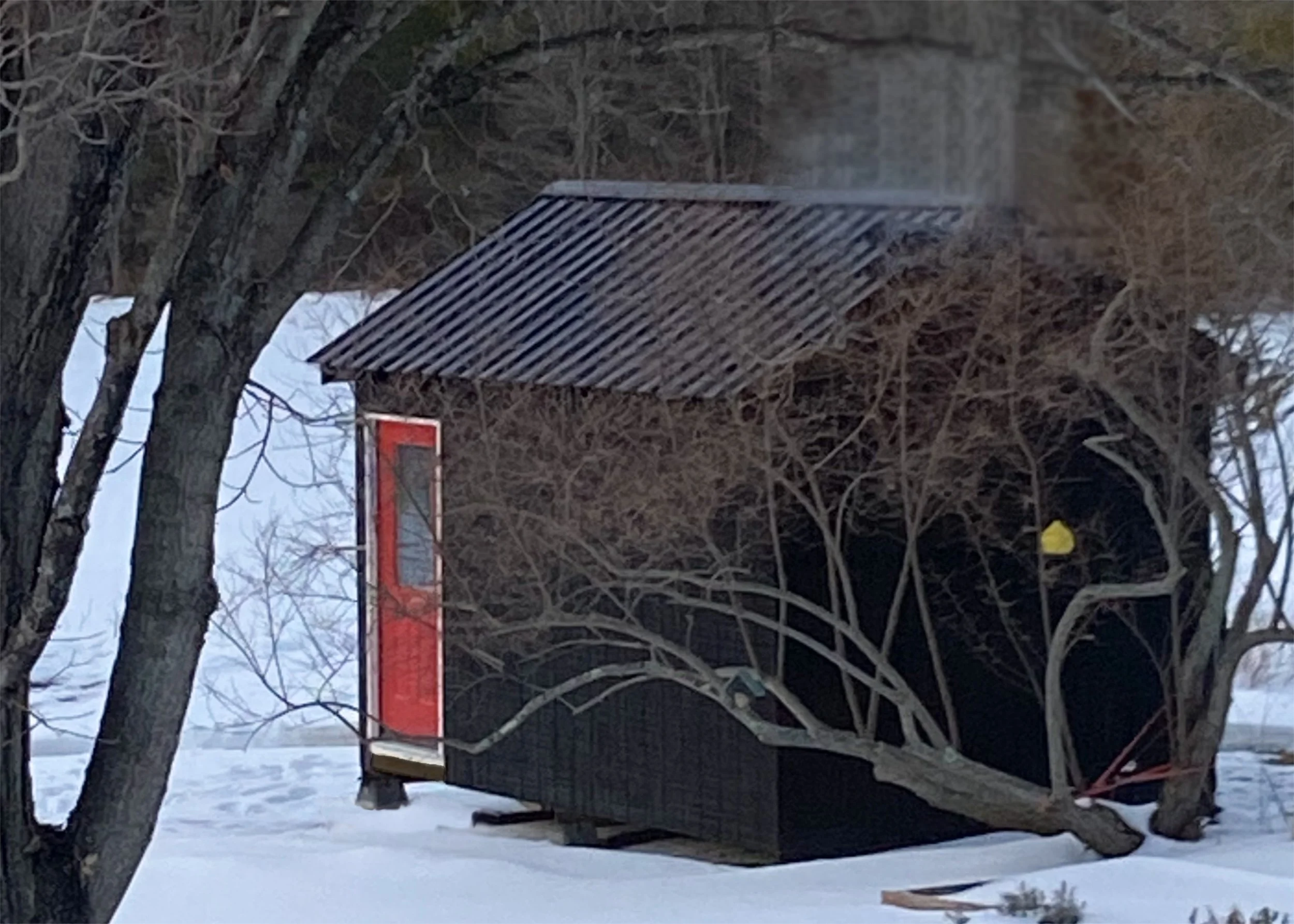 Shed final.jpg