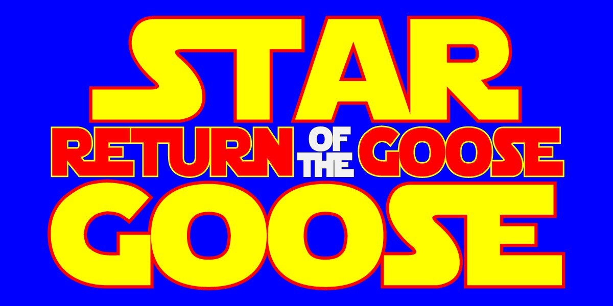 star goose return logo.jpg