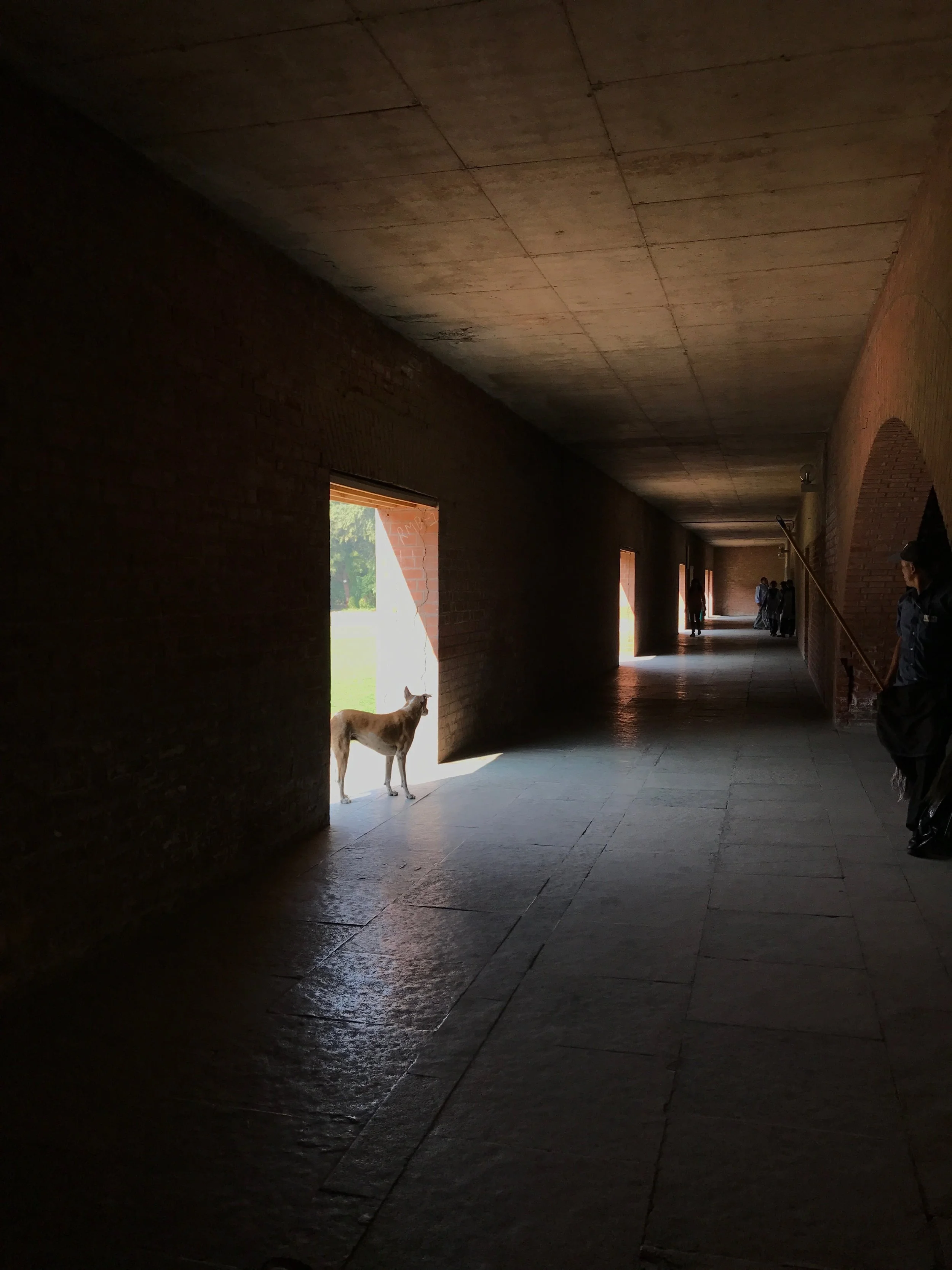  Indian Institute of Management, Ahmedabad, India 