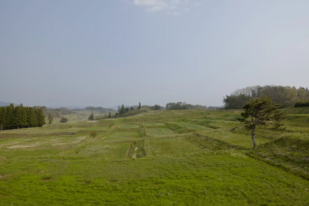  View from the site 