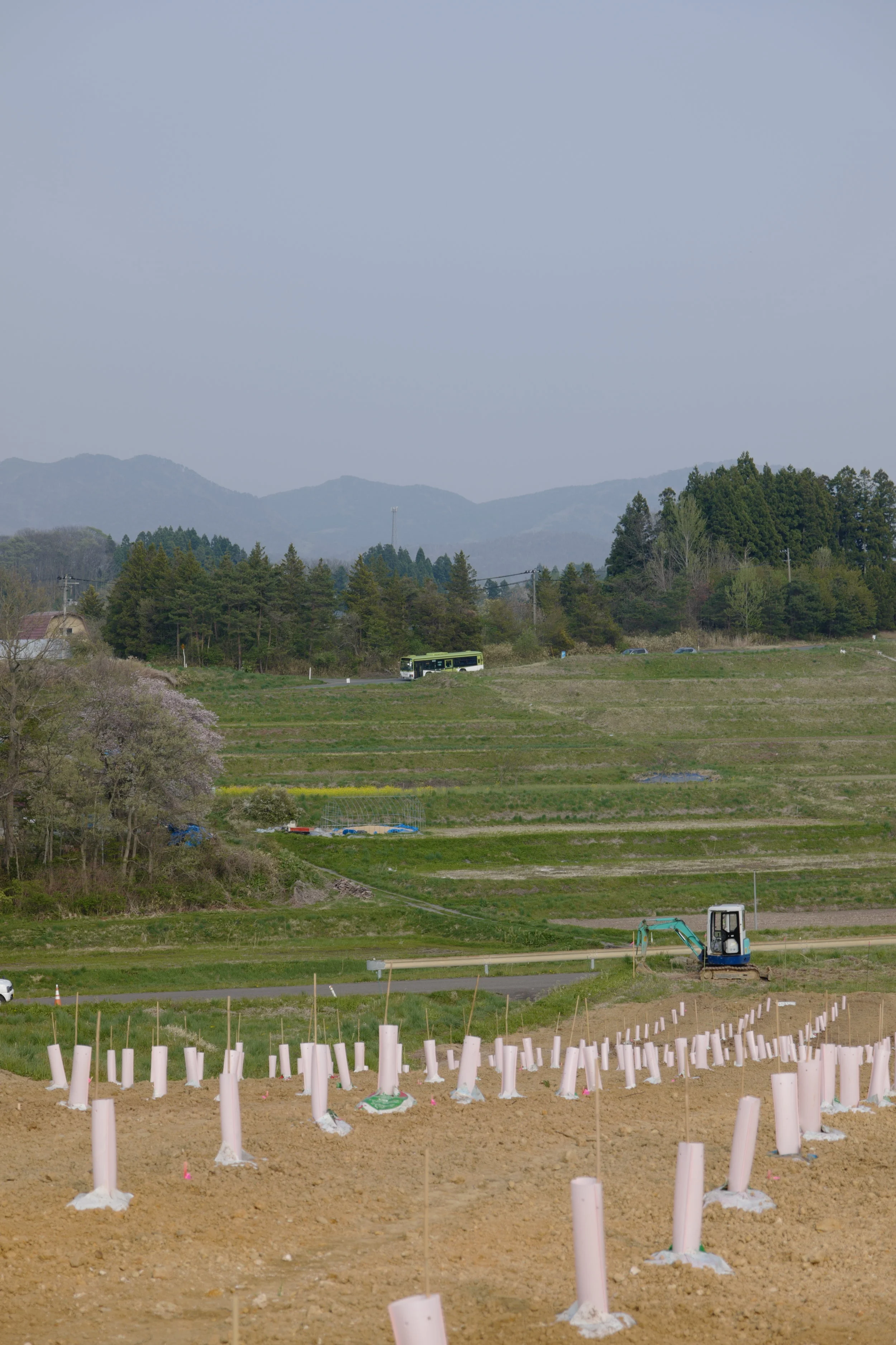  Vineyard: 2019 