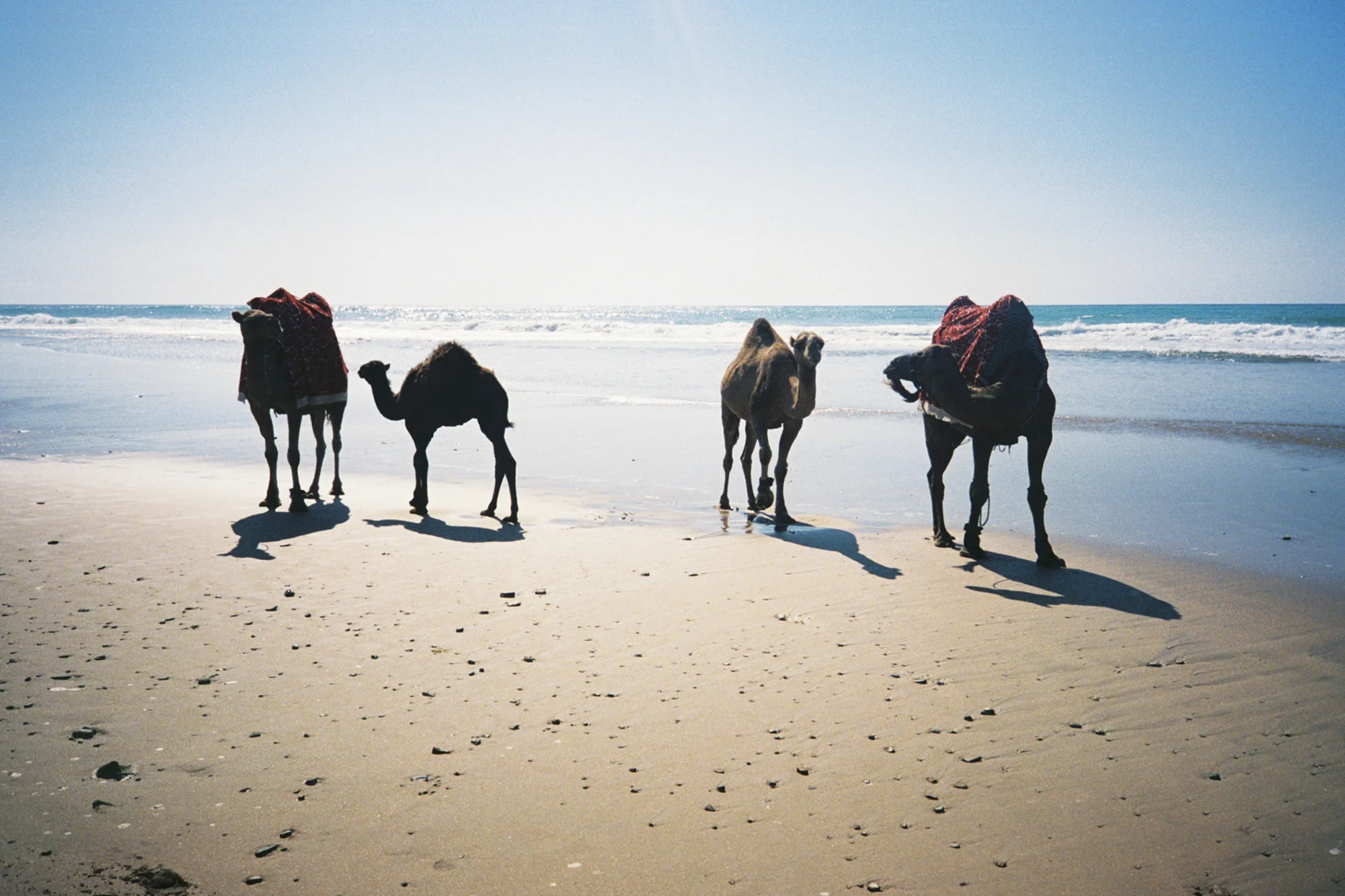Asilah, Morocco