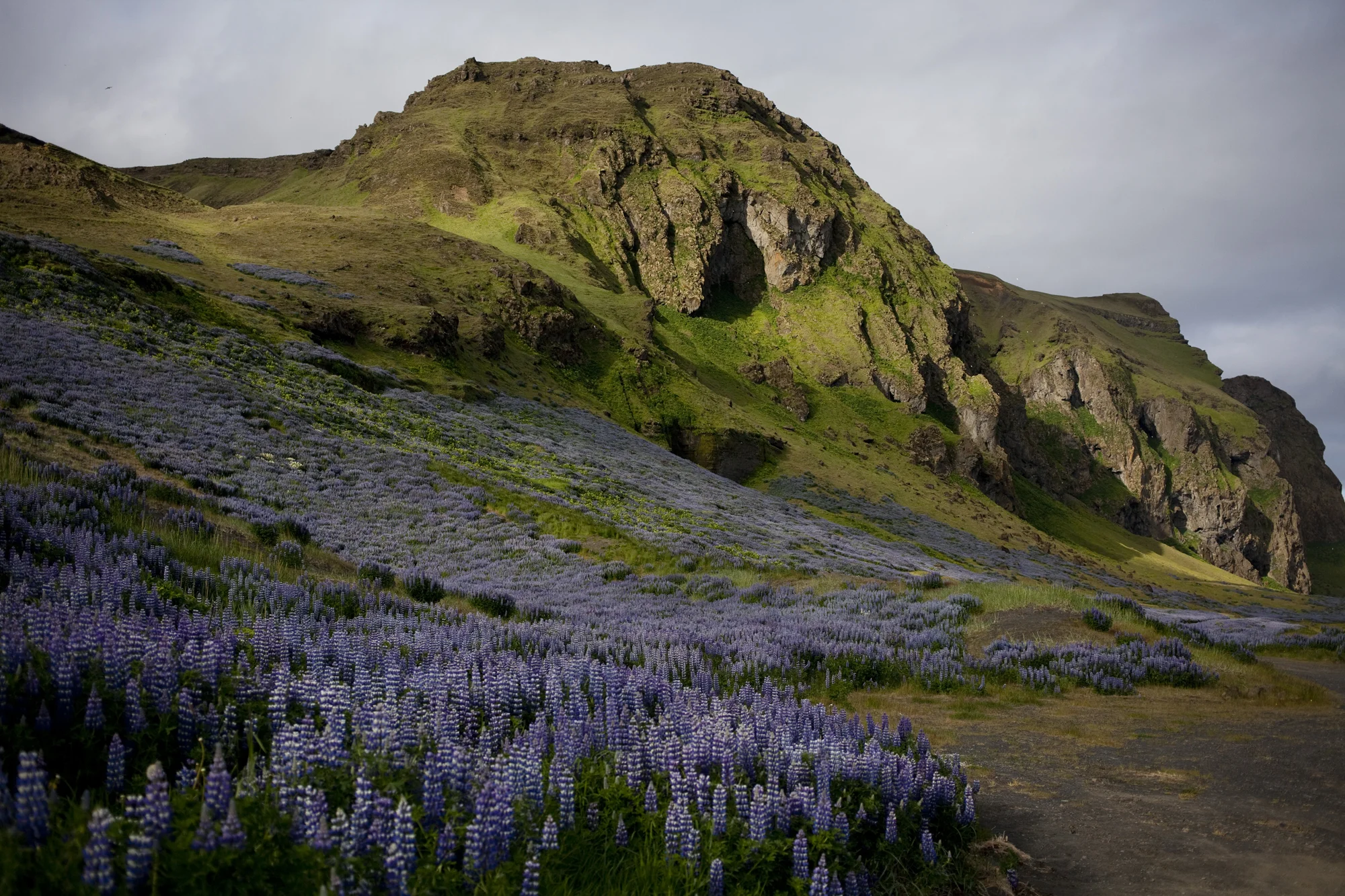 Iceland