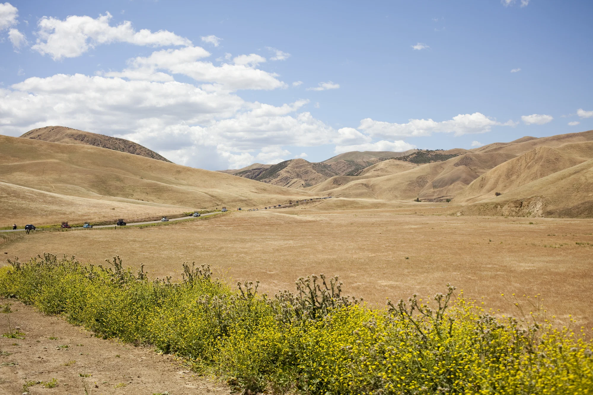 California
