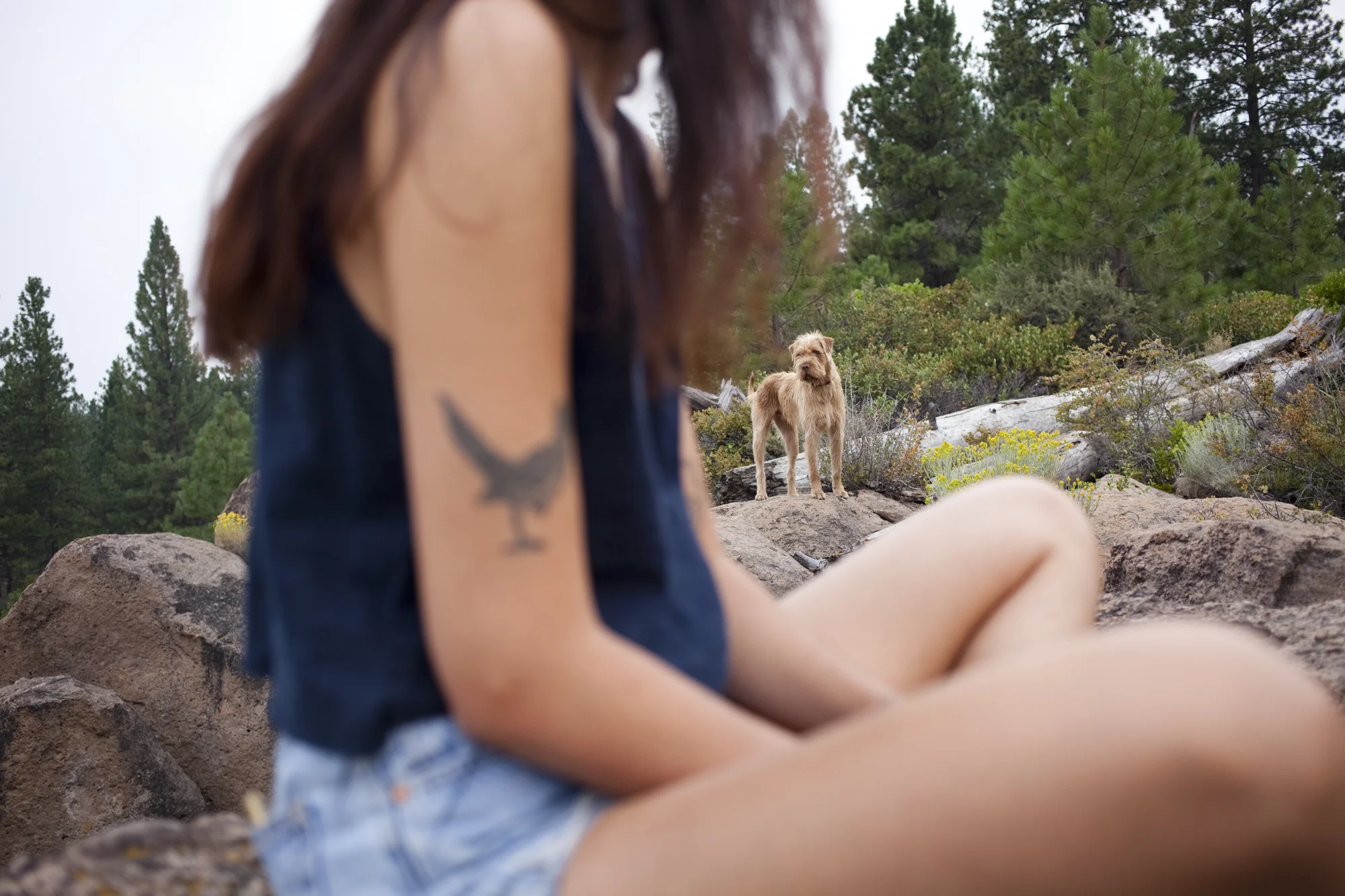 Oregon
