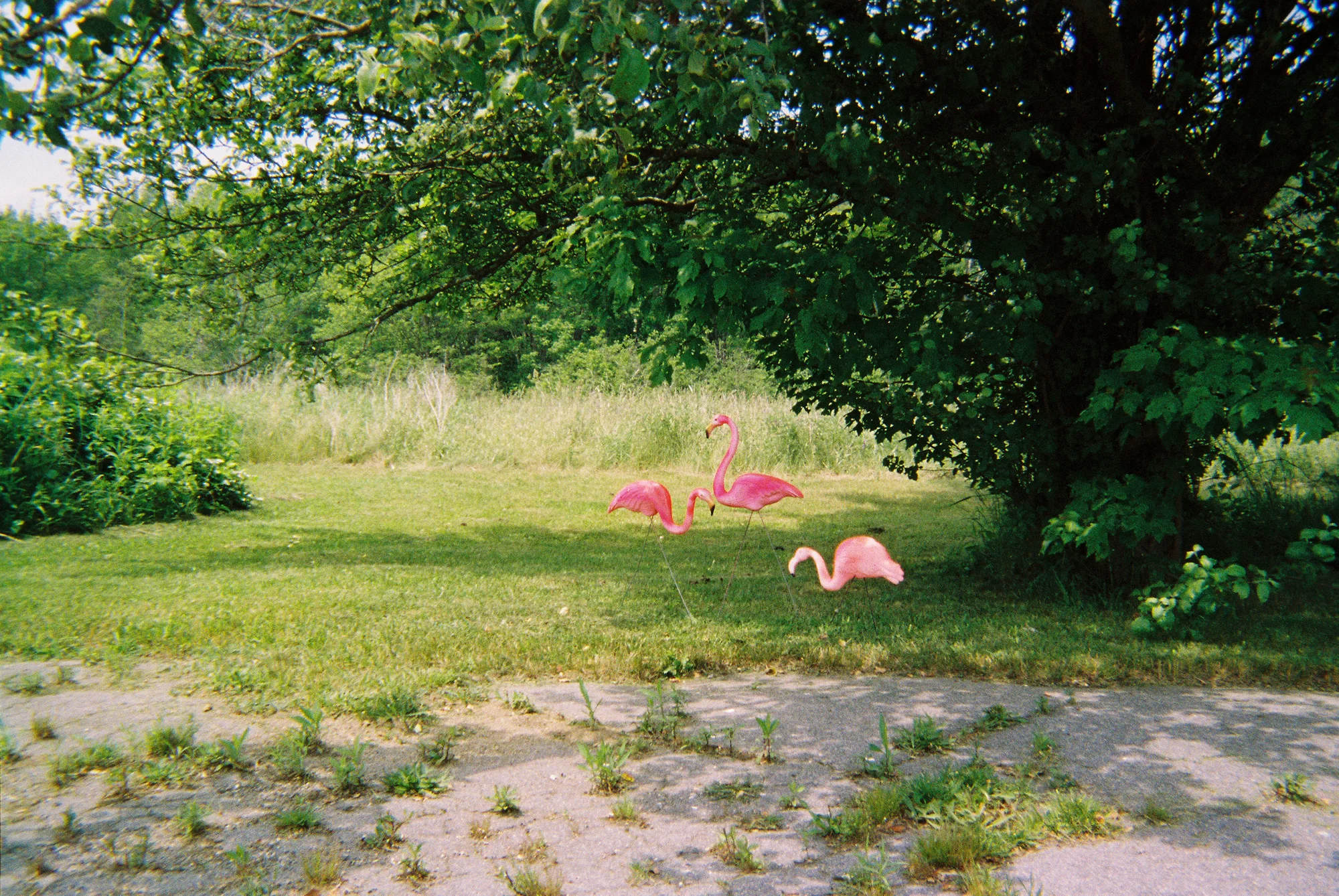 Rural Maine