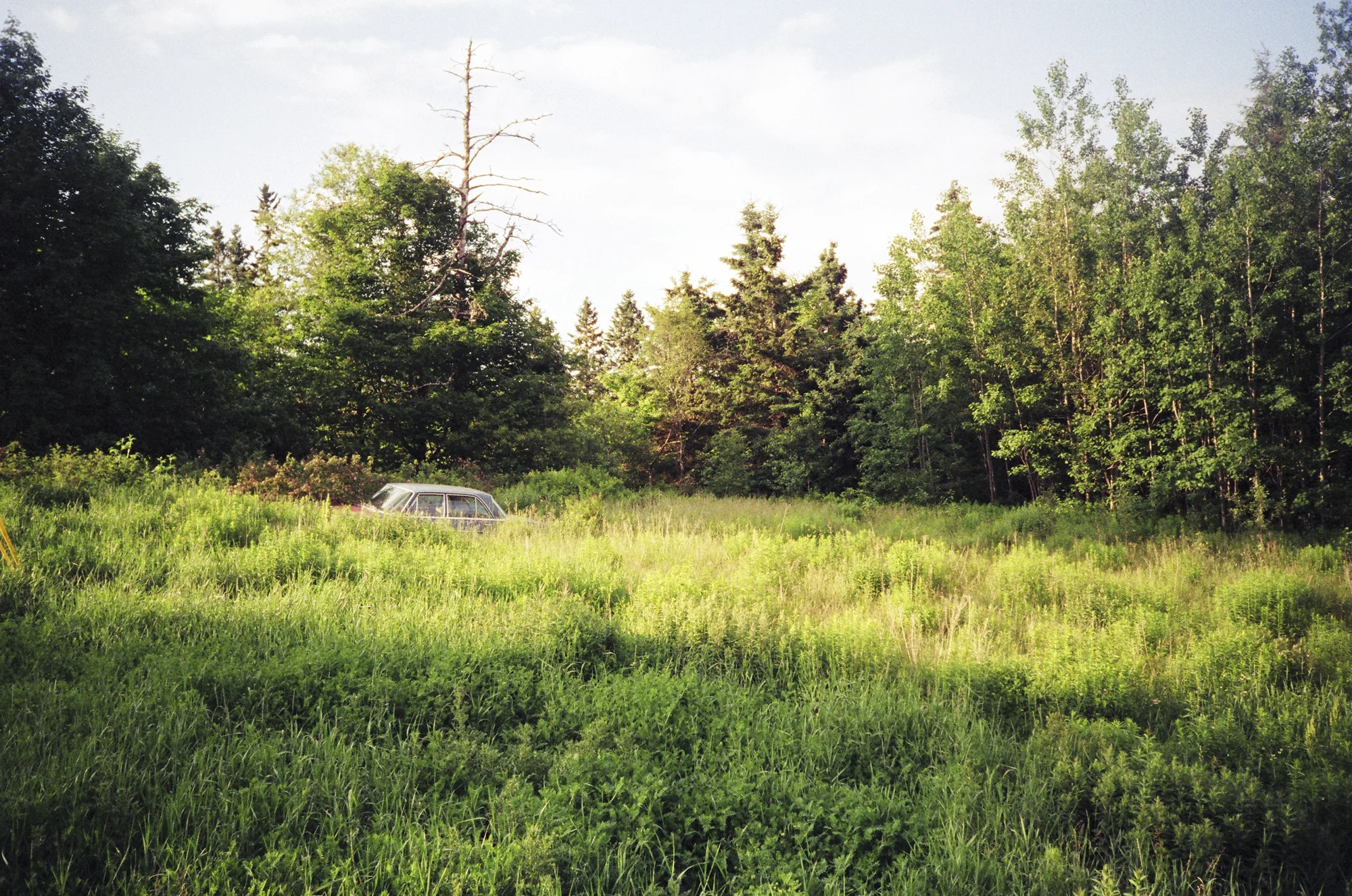 Downeast Maine