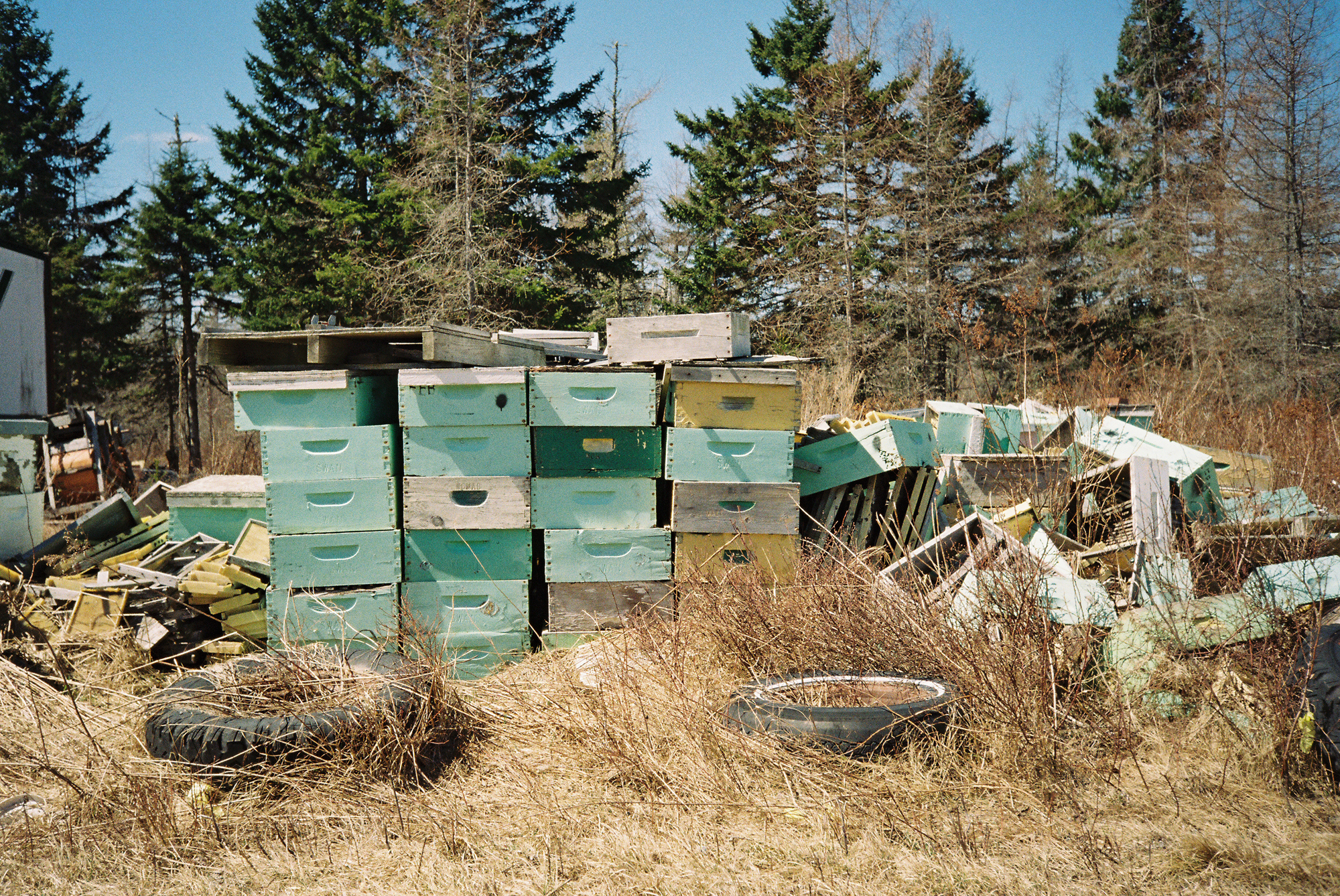 Downeast Maine