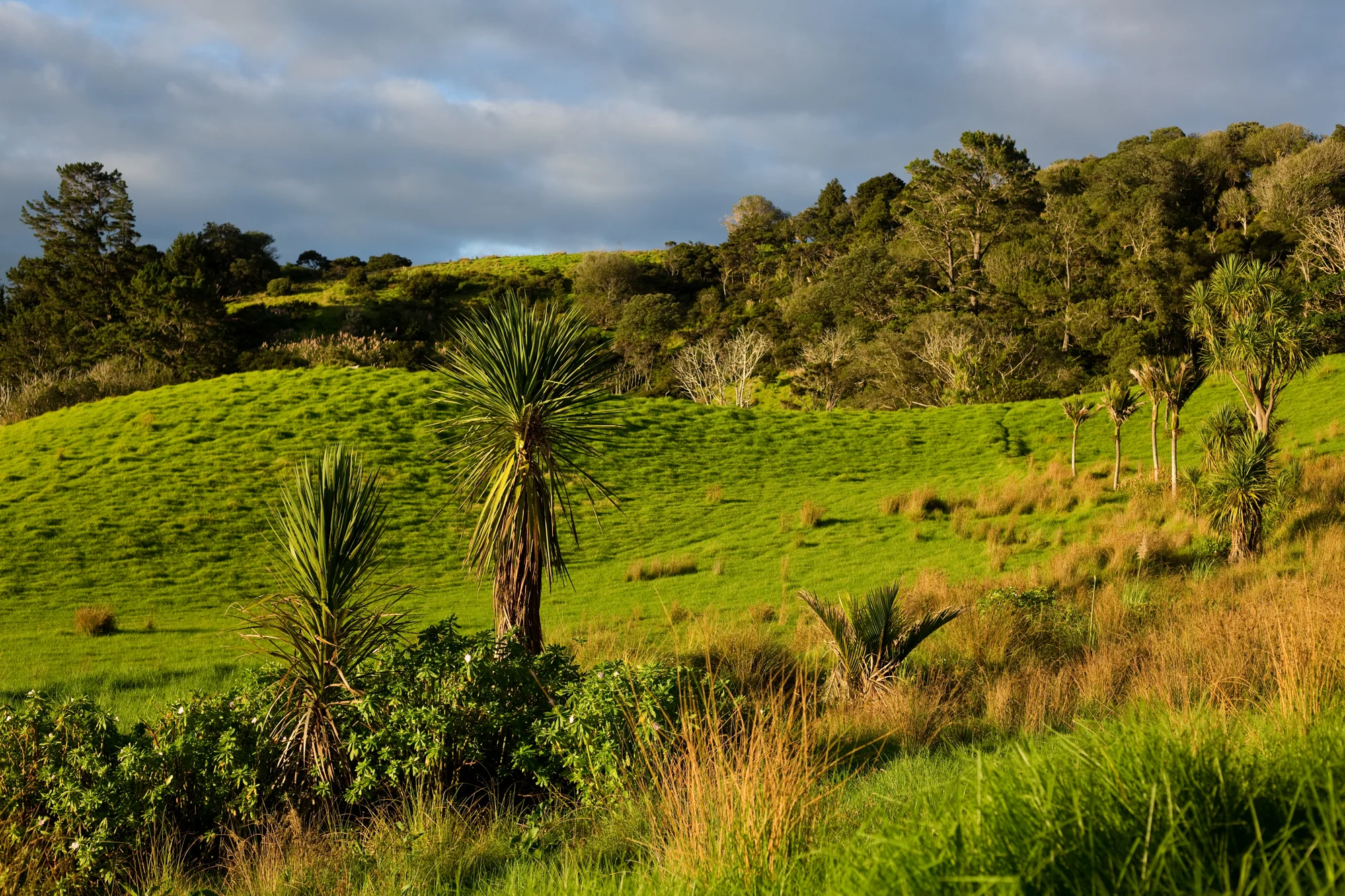 New Zealand