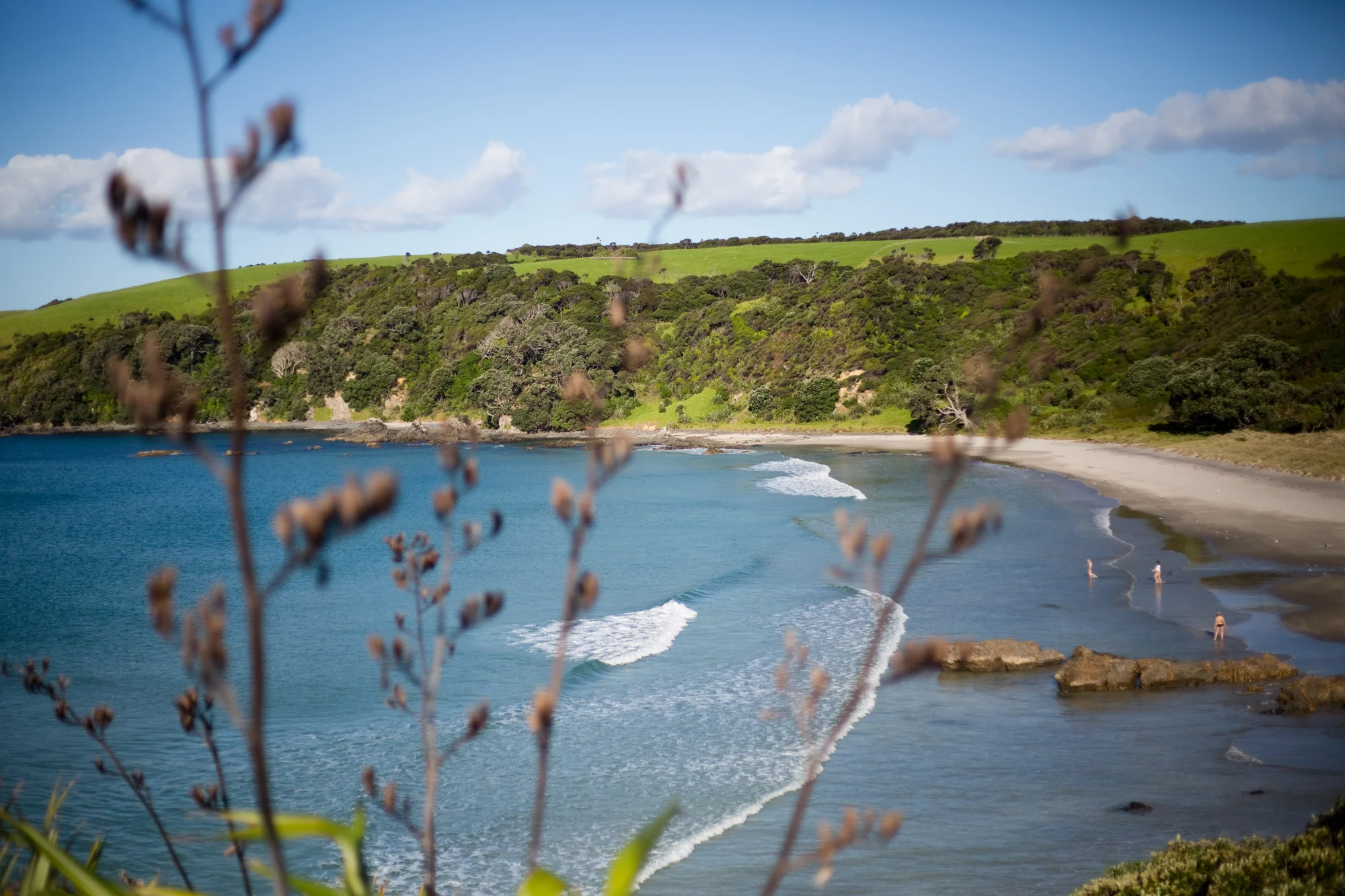New Zealand