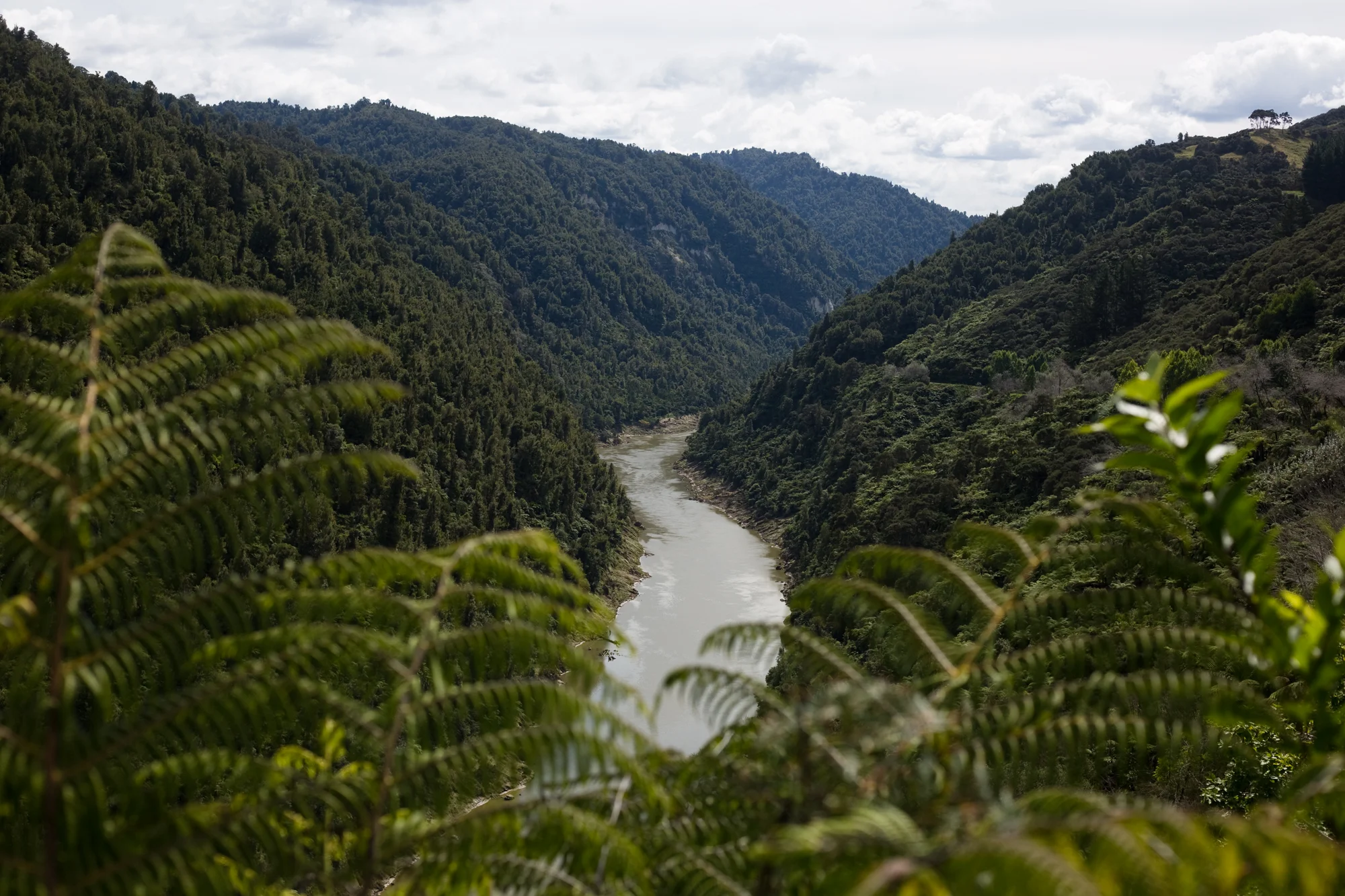 New Zealand