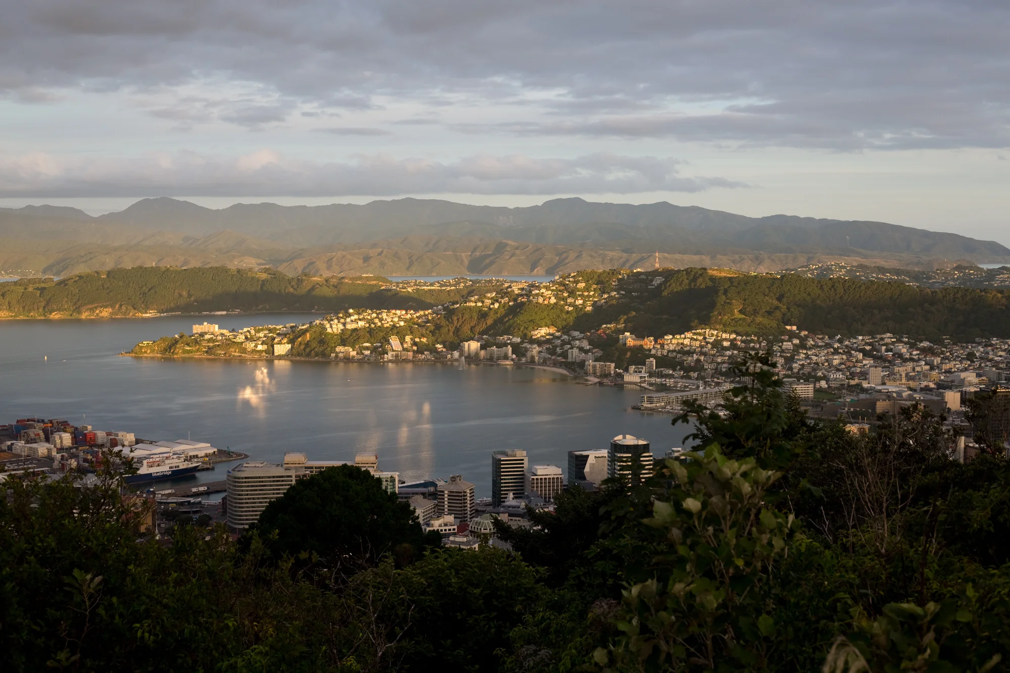 New Zealand