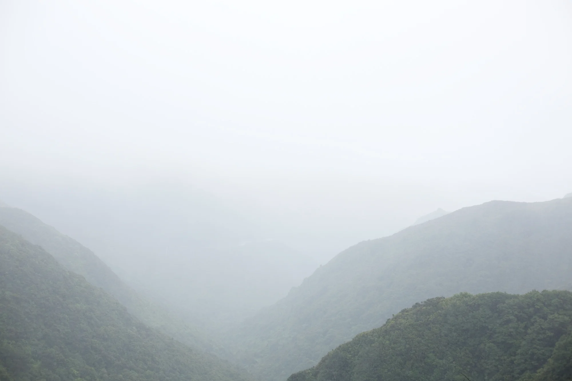 New Zealand