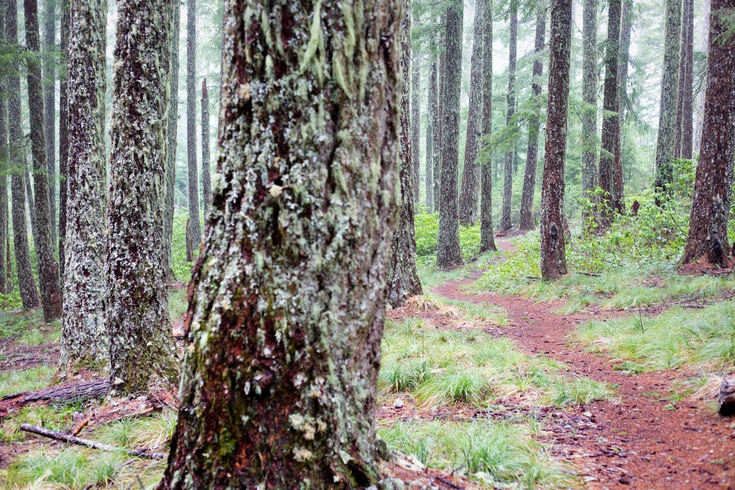 Oregon