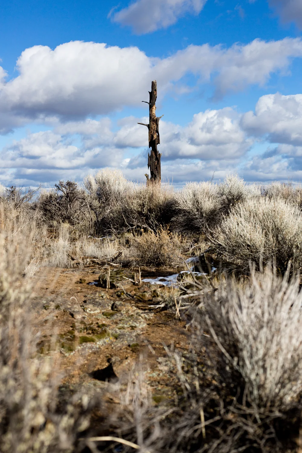 Oregon Badlands
