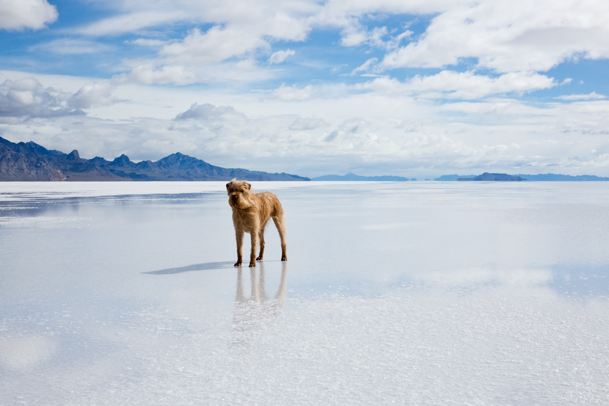  Pal / Bonneville Salt Flats 