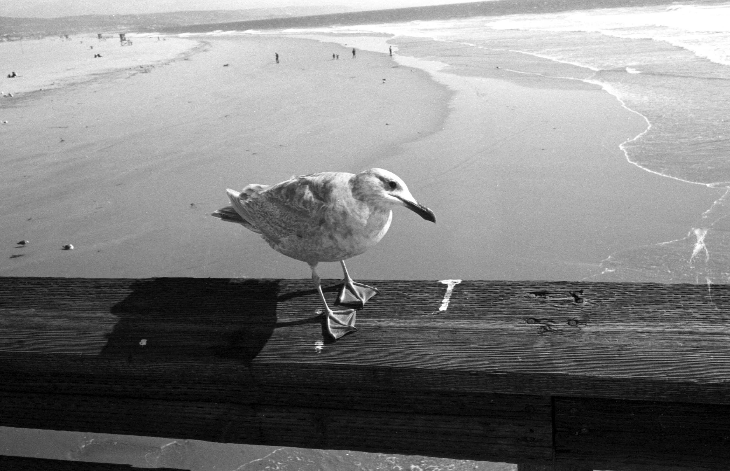 img0659.jpg