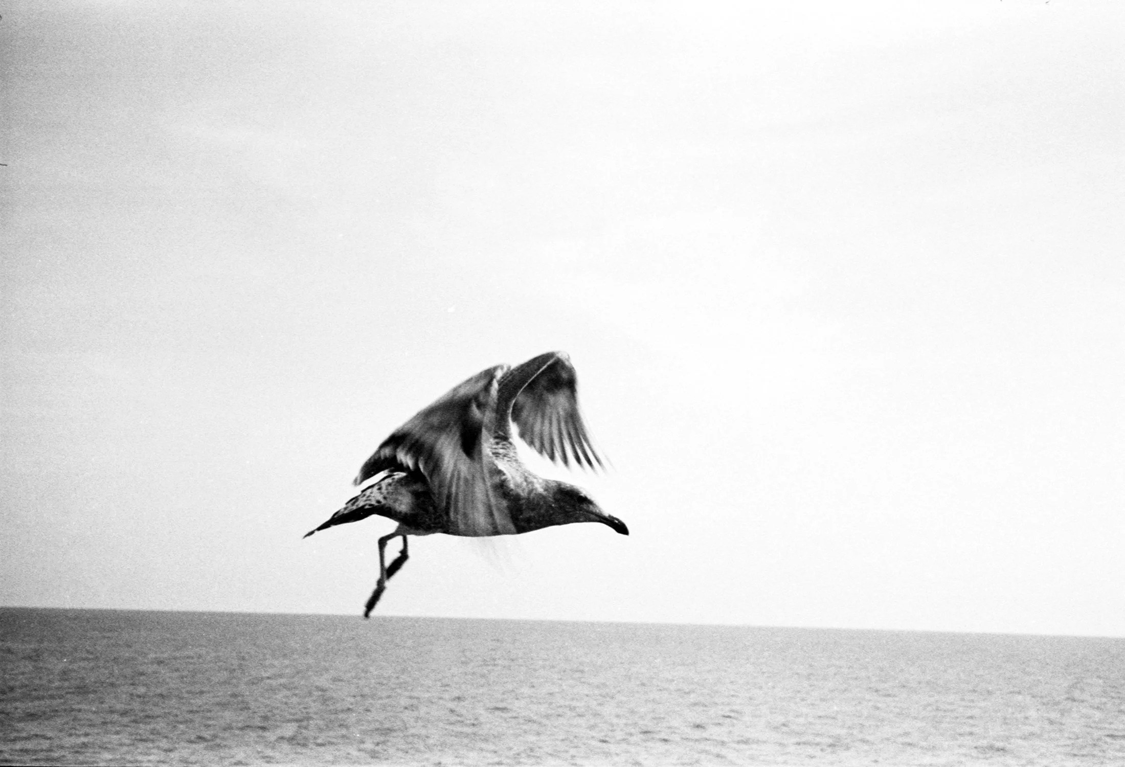 img0009.jpg