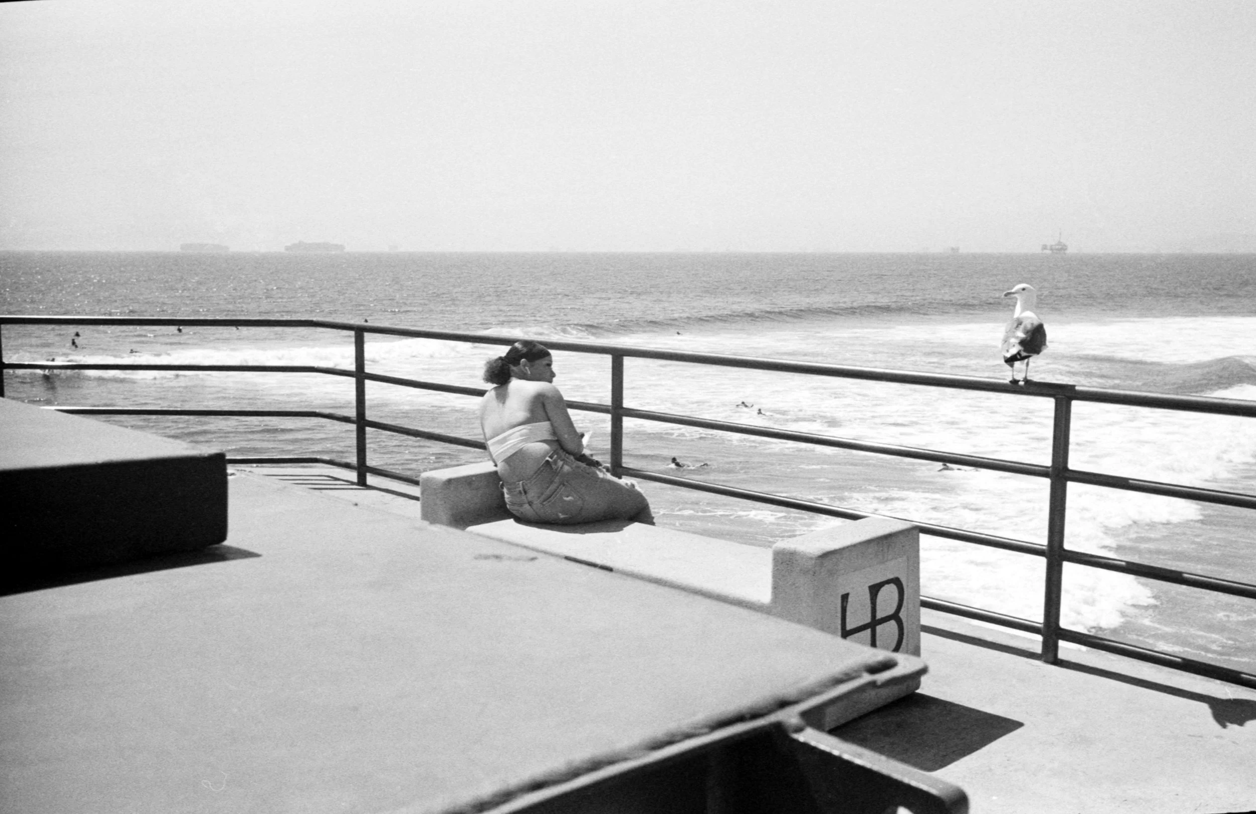 img0015.jpg