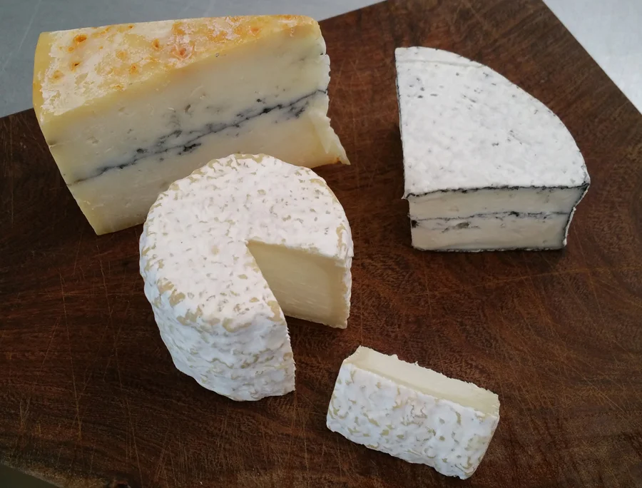Aged Cheese Selection