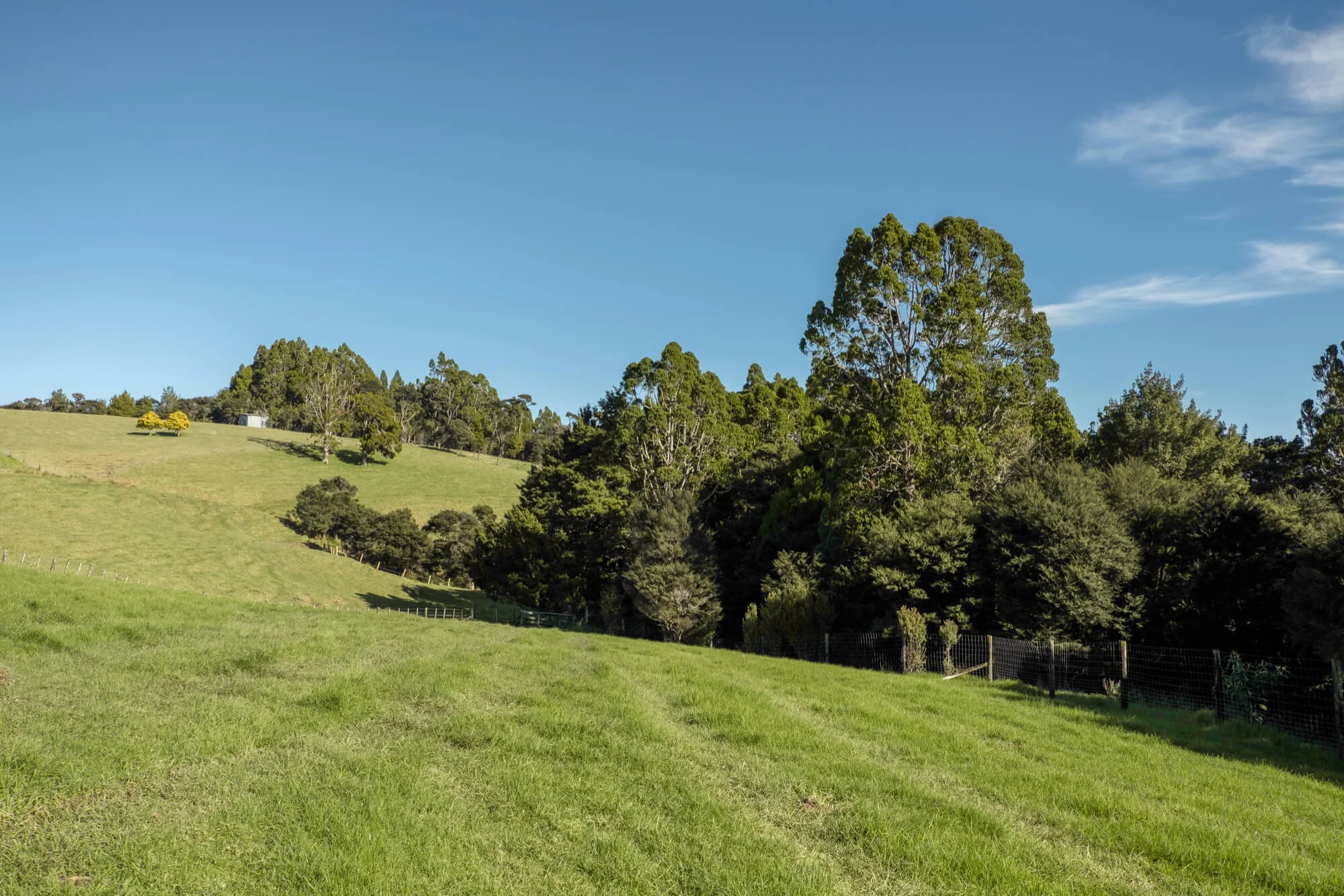 Lot3-266-Traverse-Mahurangi-West-Warkworth-Puhoi-Construction-Property-Investments-Paul-Fearon-Kent-Fearon-Traverseltd-2000px.jpg