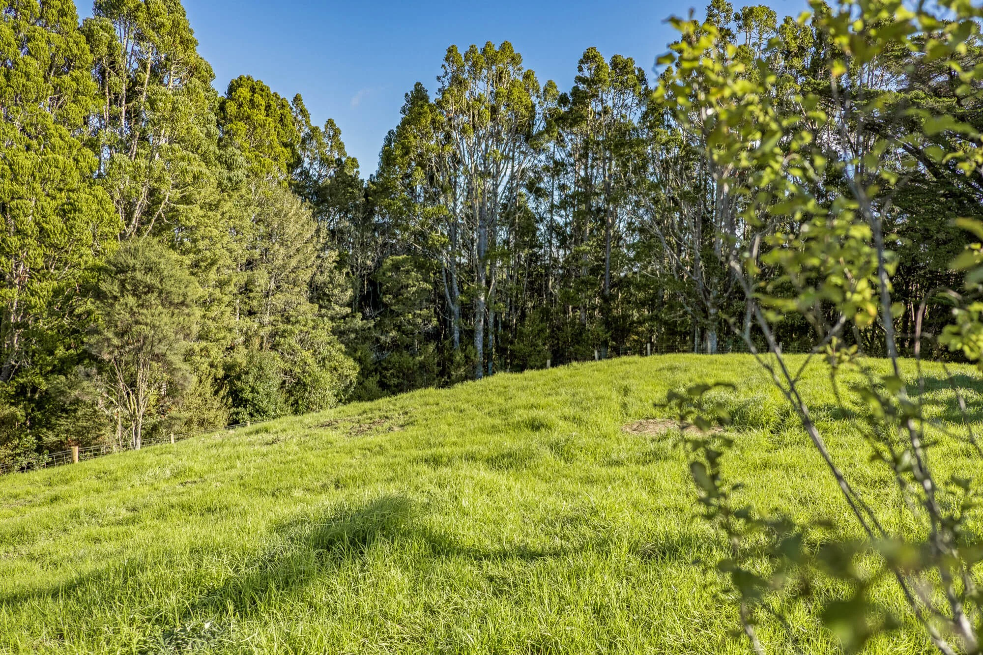 Lot1-458-Traverse-Mahurangi-West-Warkworth-Puhoi-Construction-Property-Investments-Paul-Fearon-Kent-Fearon-Traverseltd-2000px.jpg
