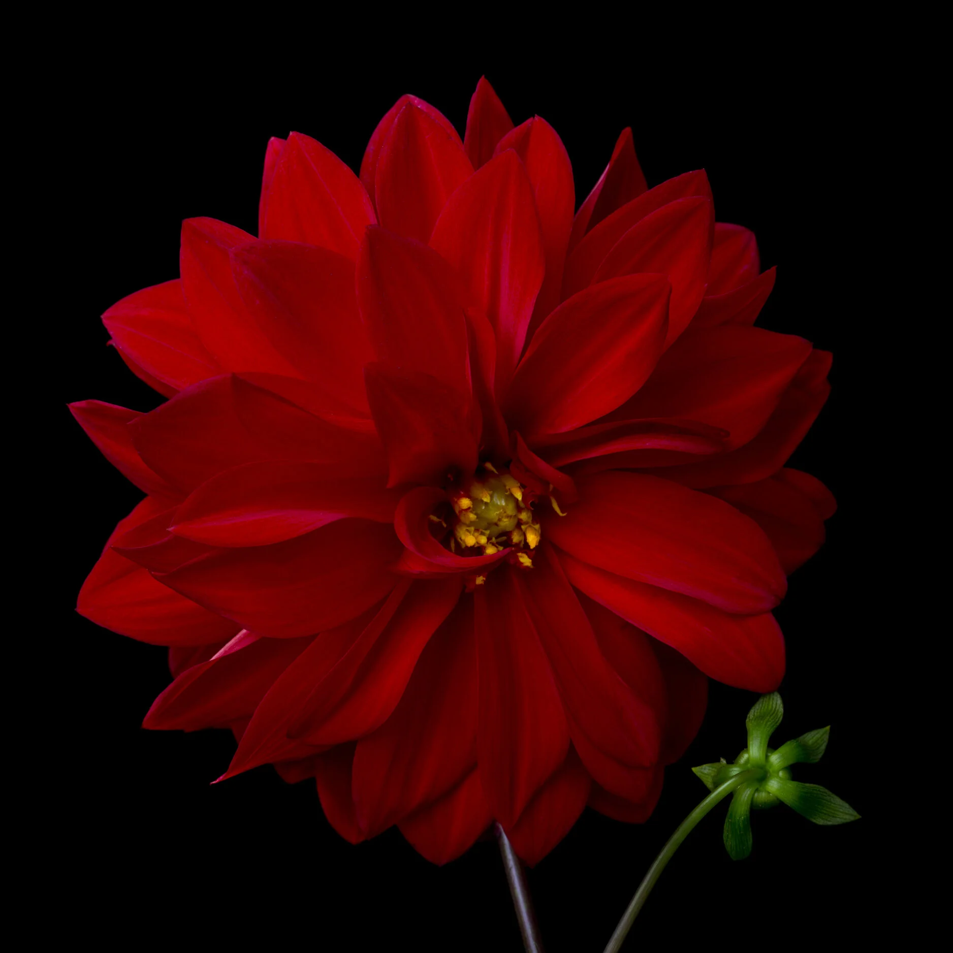 Autumn Collection //