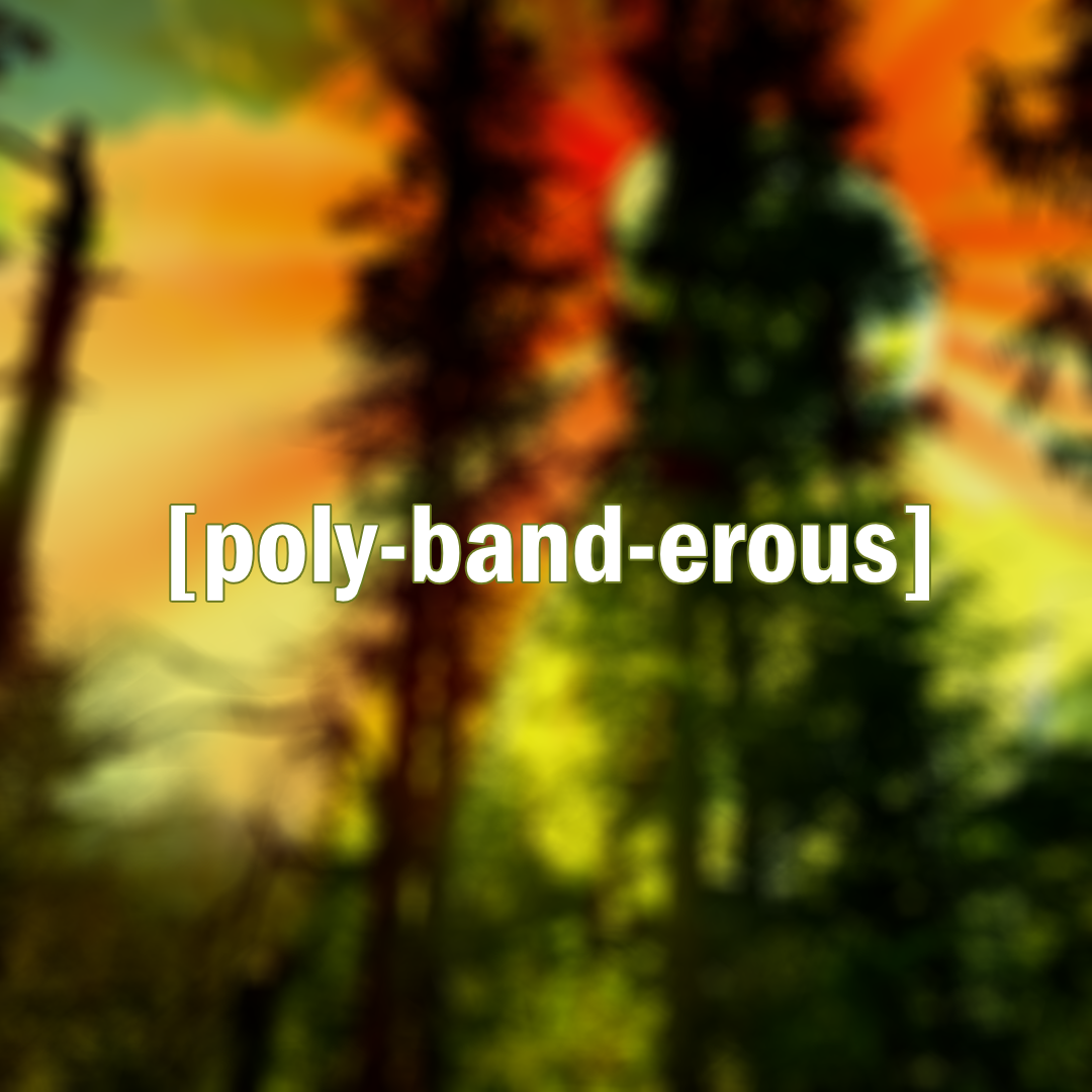 Do you have a Bandcamp fan account?
