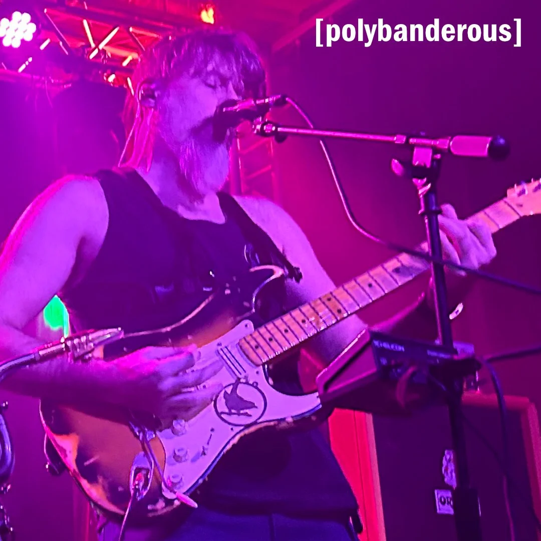 PolybanderousV2_1080x1080.jpg
