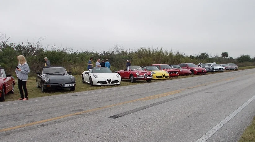 Snake Road Trip Dec 033.JPG