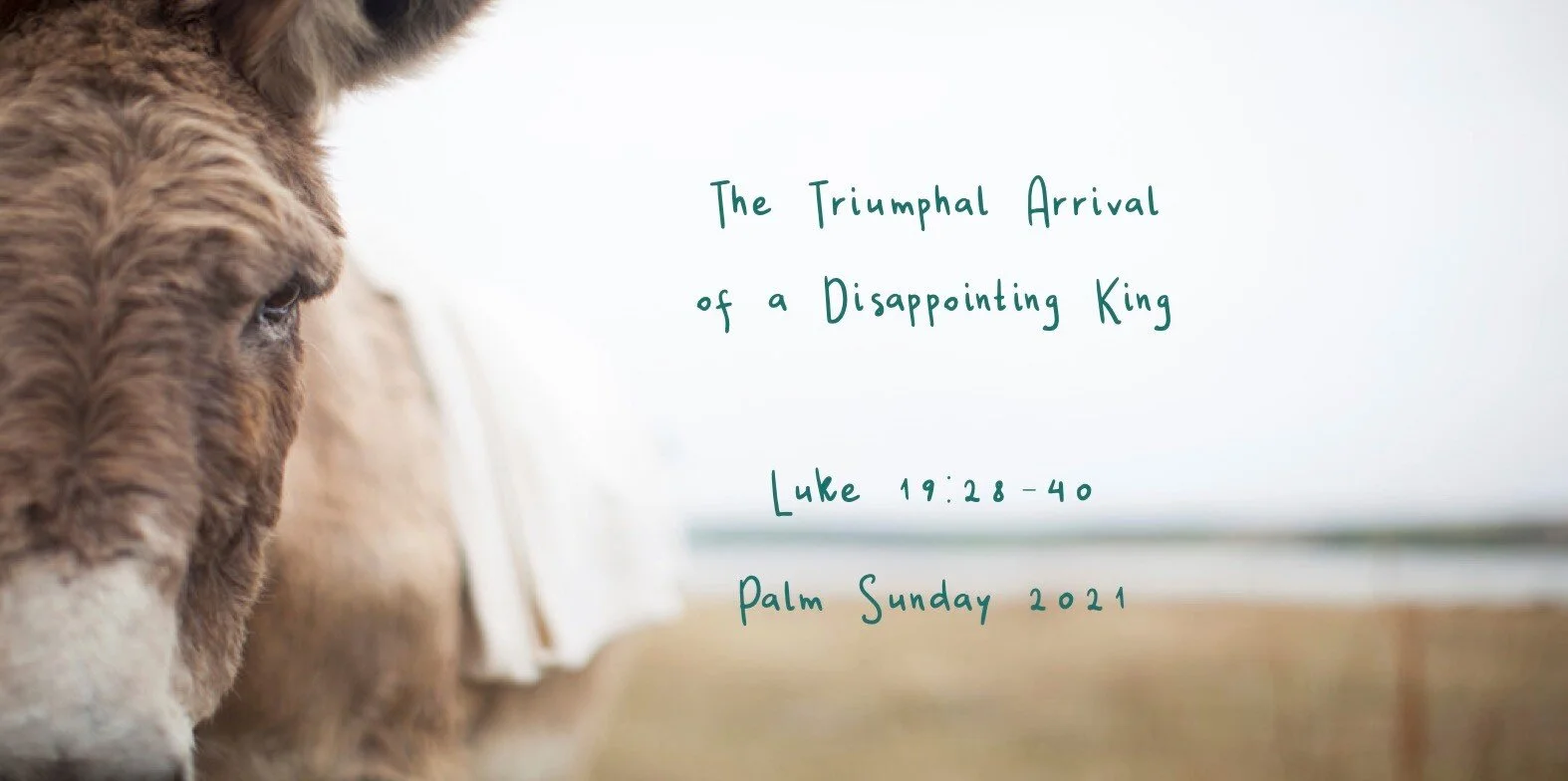 Palm Sunday - The Triumphal Arrival of a Disappointing King