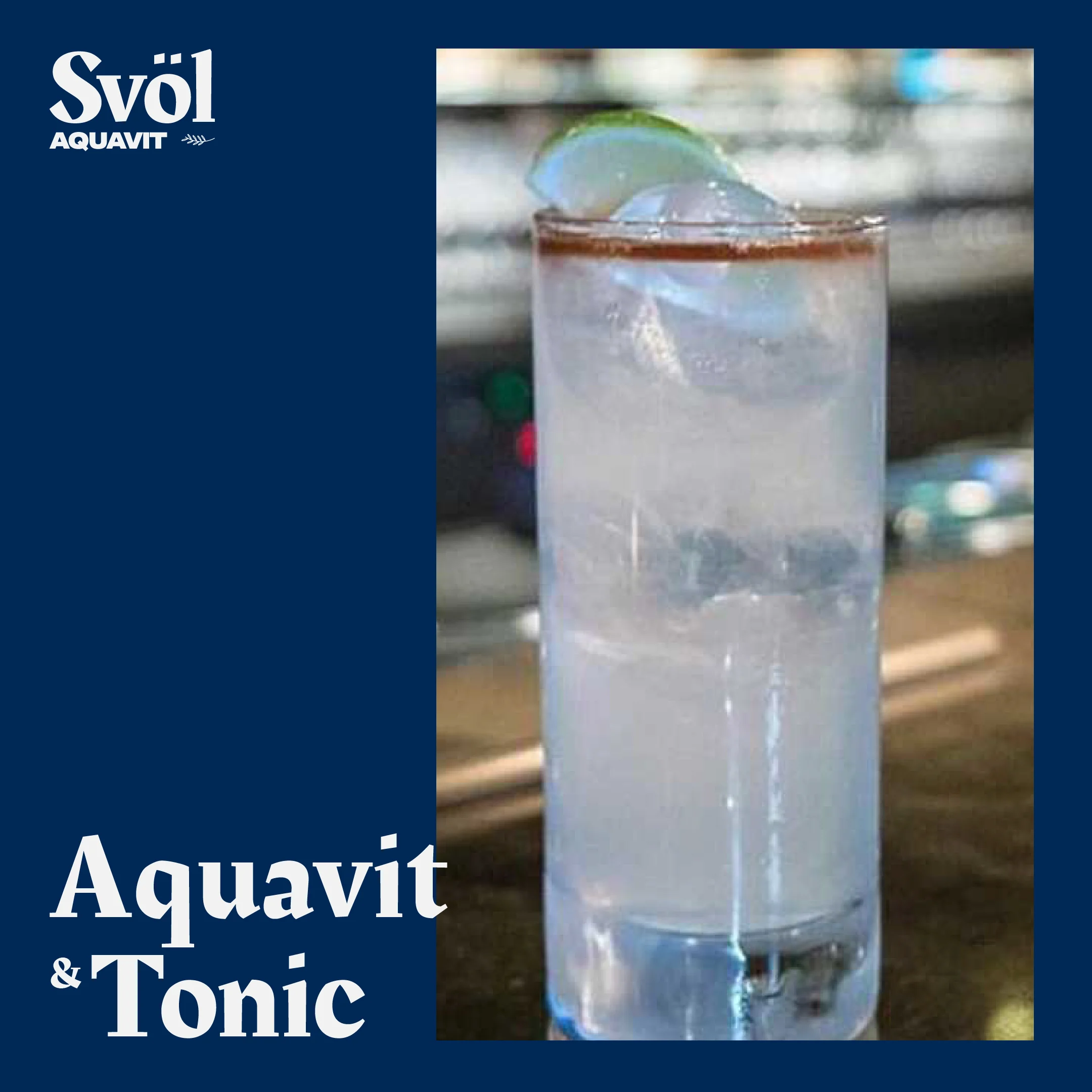 Svol_Cocktail_Template_Aquavit&Tonic.jpg
