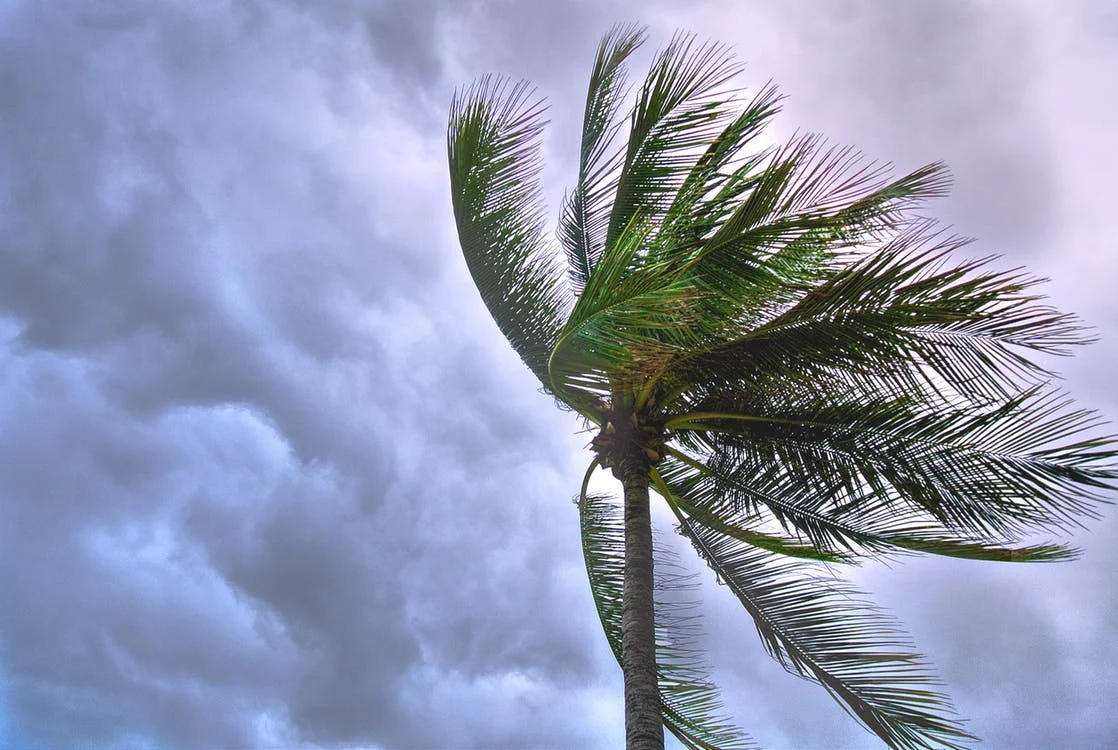 IRS extends Oct. 15 and other deadlines for more counties hit by Hurricanes Michael, Florence; Additional areas in Florida, Georgia, North Carolina, South Carolina and Virginia covered