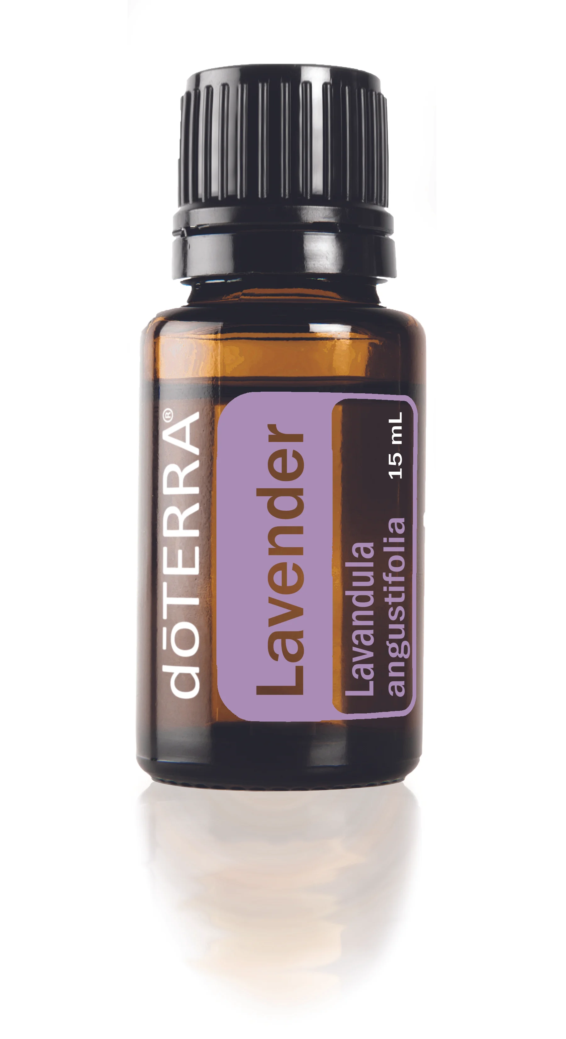 The endless uses for Lavender Essential Oil (my own favorite list!)
