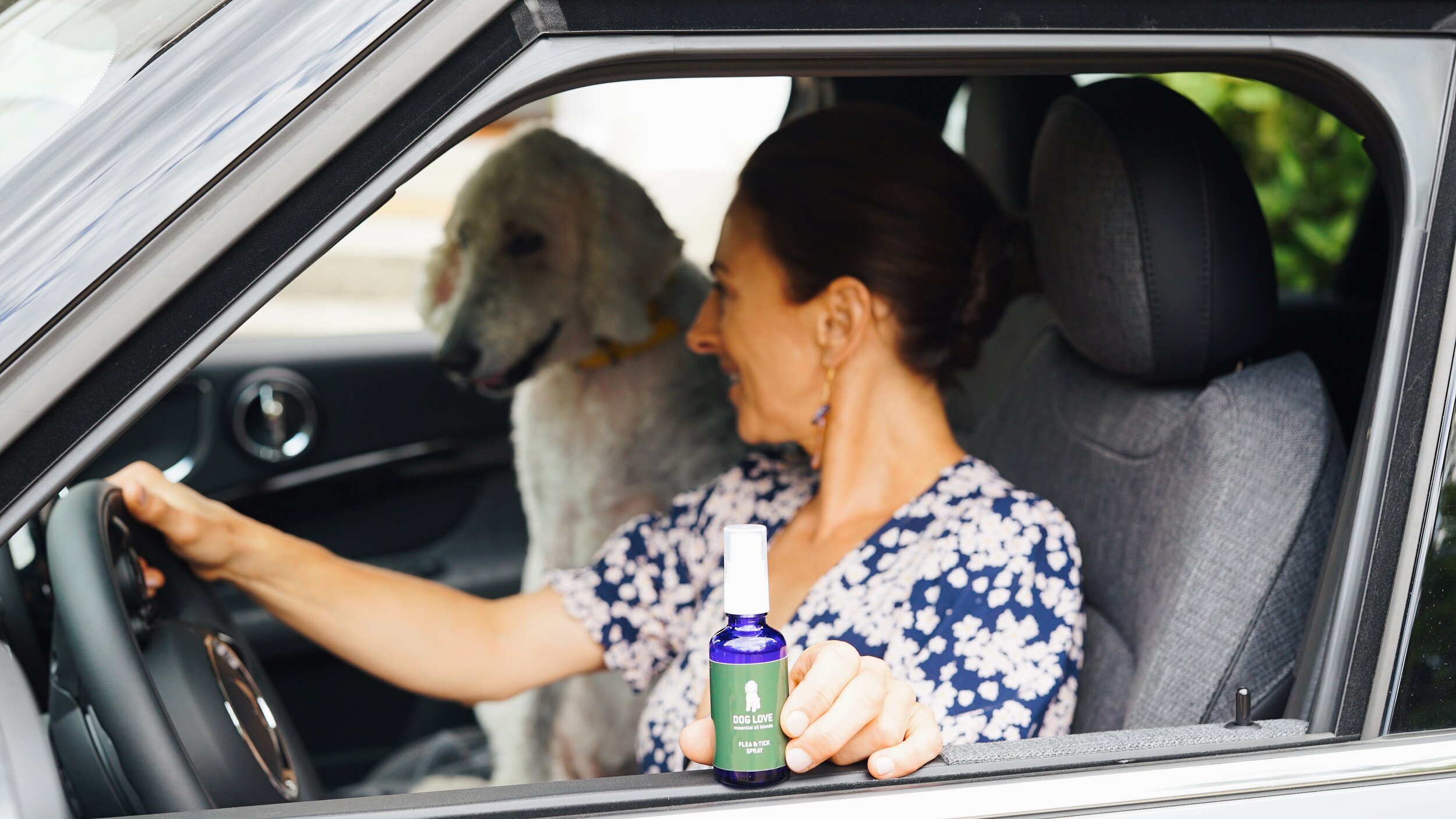 What I learned from getting my "Permis de Conduire" (Driver's License) in France