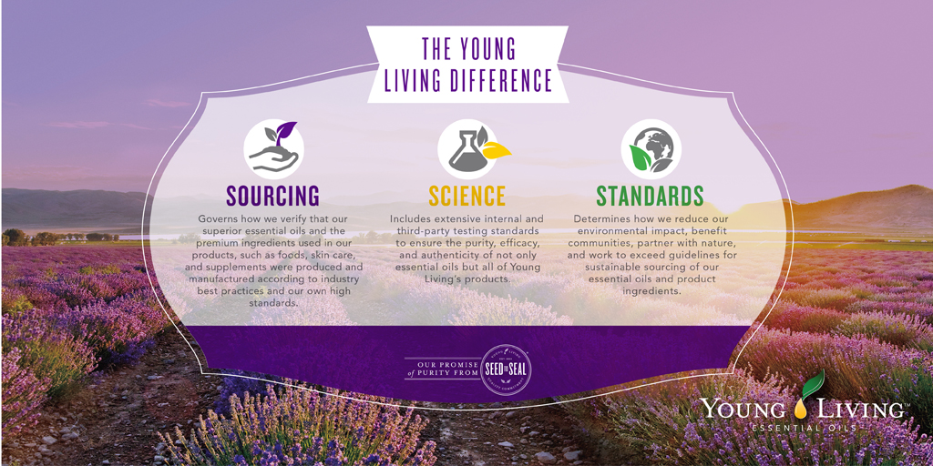 yl_seedtoseal_5-twitter.jpg