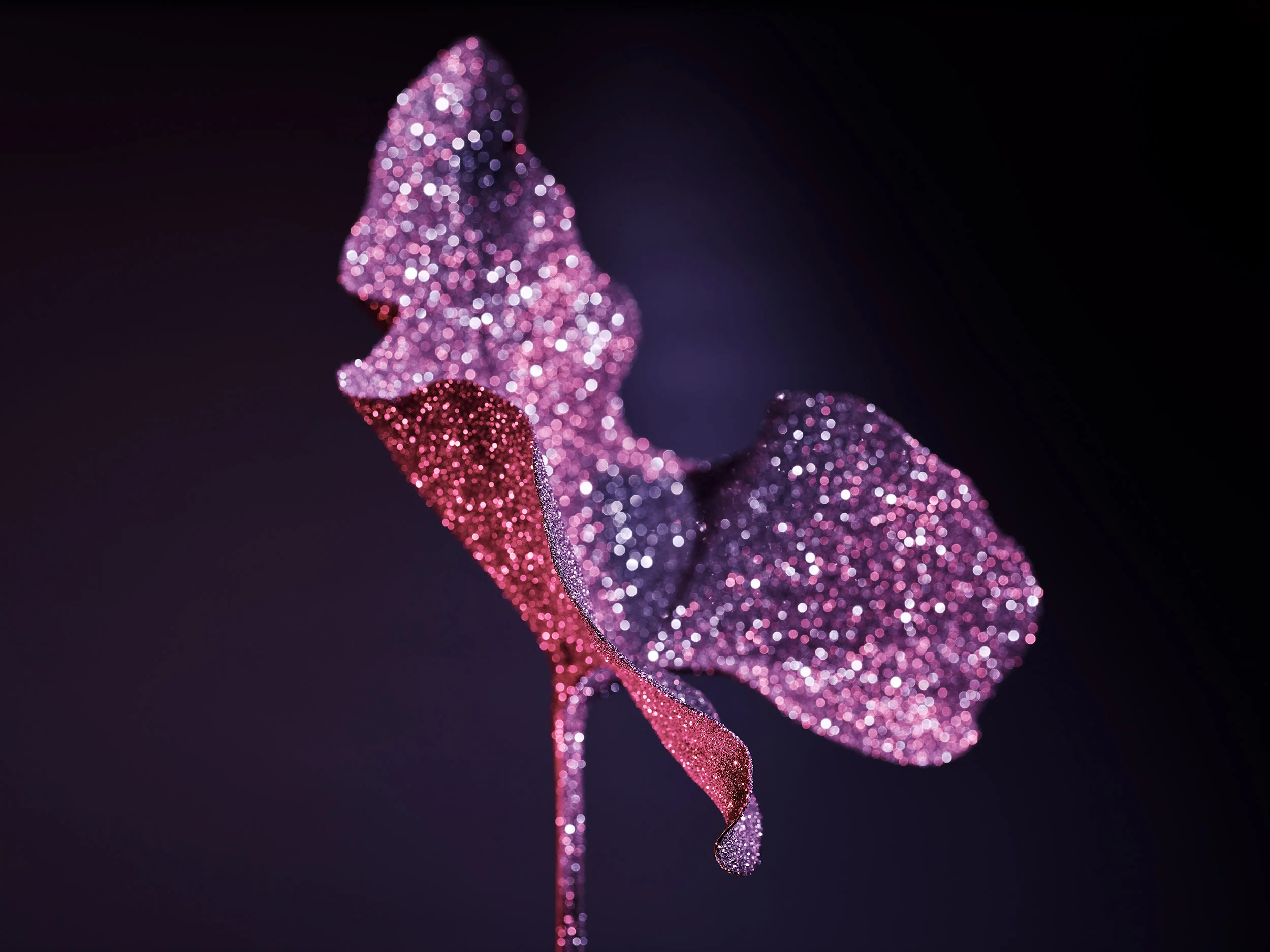 380 Melbourne_Diamond Collection