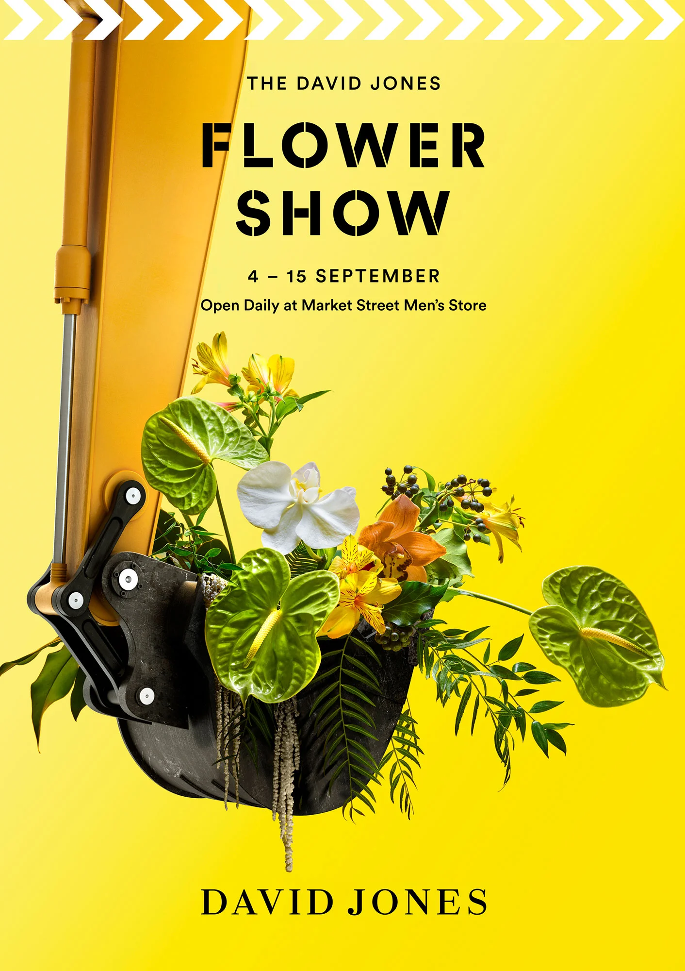 David Jones Flower Show 2019