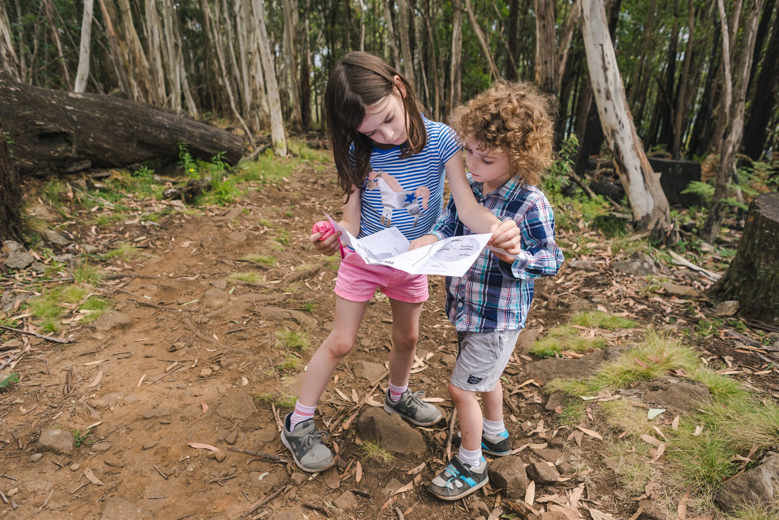 children reading a map on a hike_SN20419.JPG