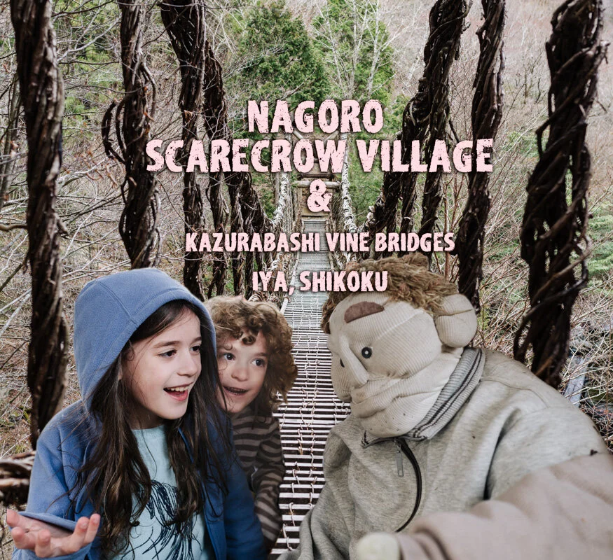 I'm on Japanese TV! Nagoro scarecrow village and Kazurabashi Vine Bridges