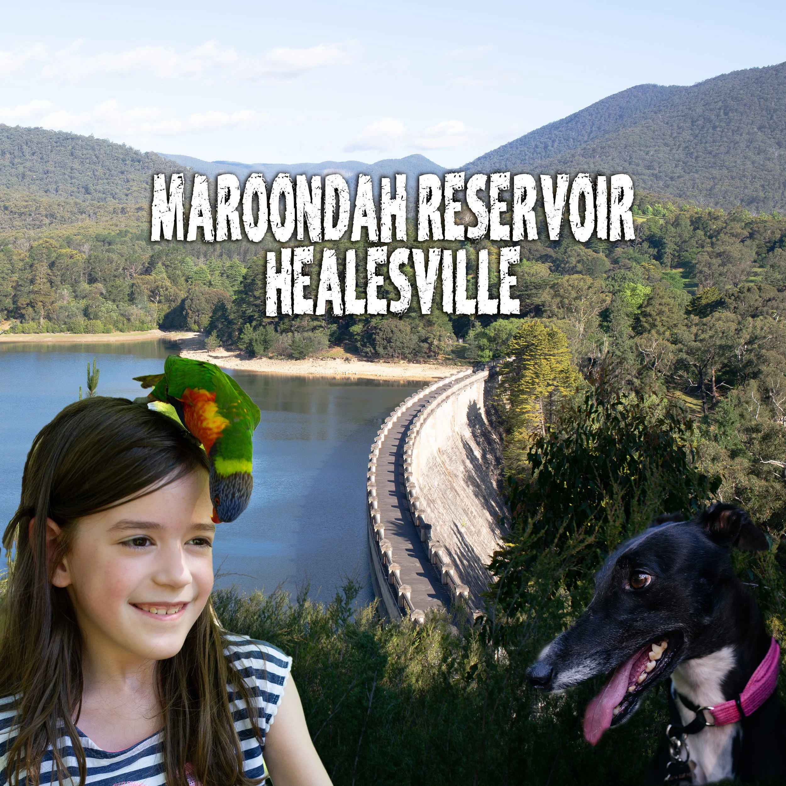 Maroondah Reservoir, Healesville, Victoria, Australia