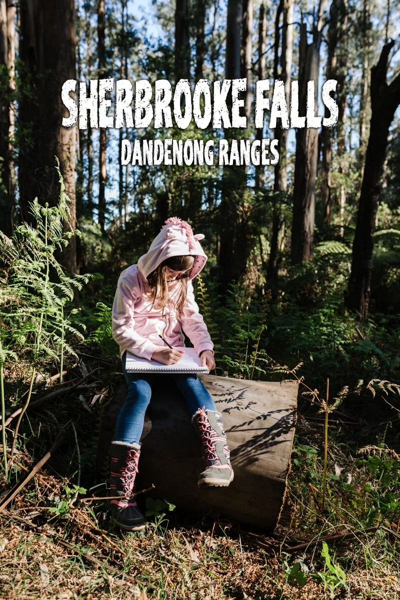 Sherbrooke Falls, Victoria, Australia. A day trip with the family - bushwalks and waterfalls