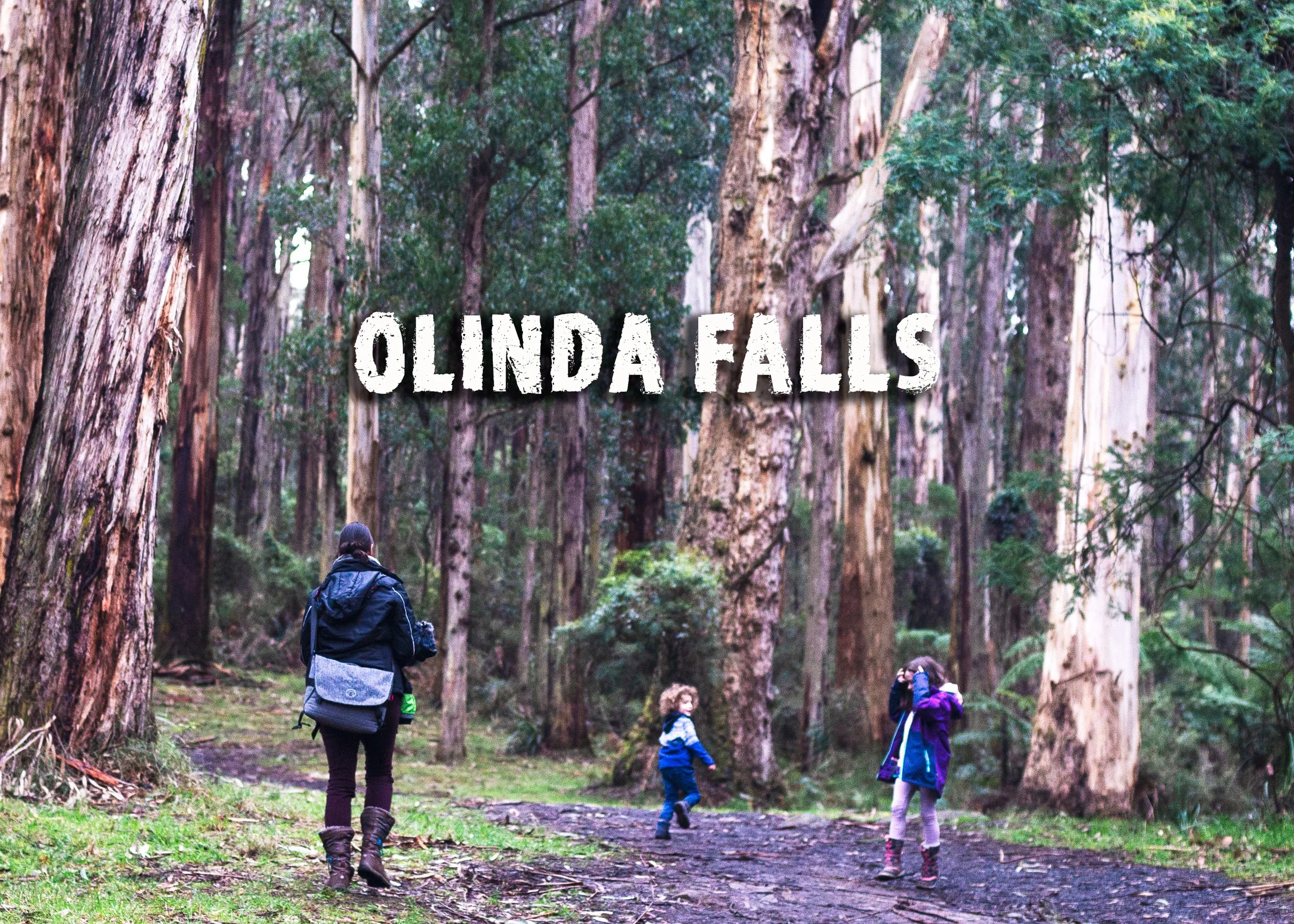 Olinda Falls, Victoria, Australia - A Day Trip From Melbourne for everybody (and families)