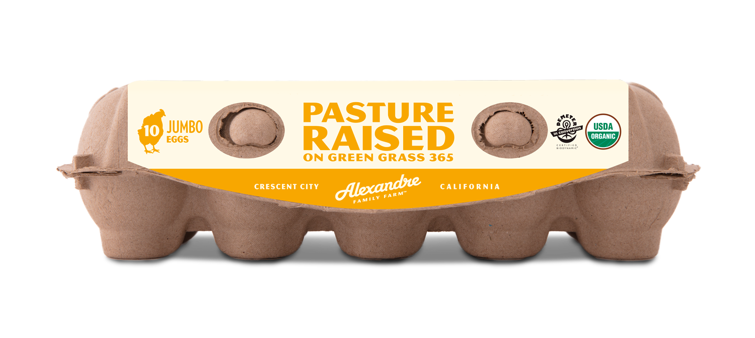 pasted-image-257.png