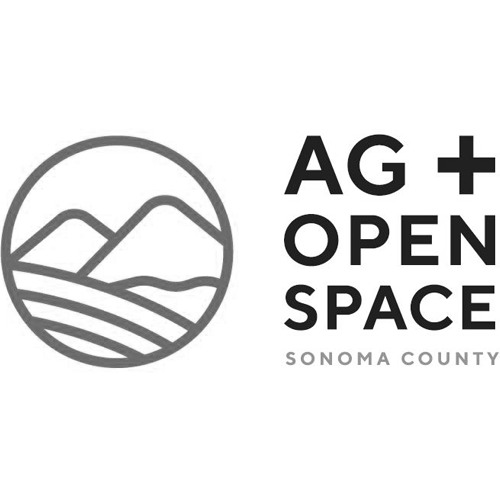 open space logo.png